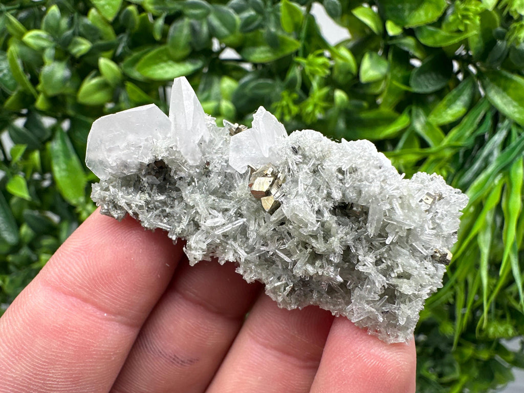 Pyrite on Green Quartz Mineral Specimen, Borieva Mine