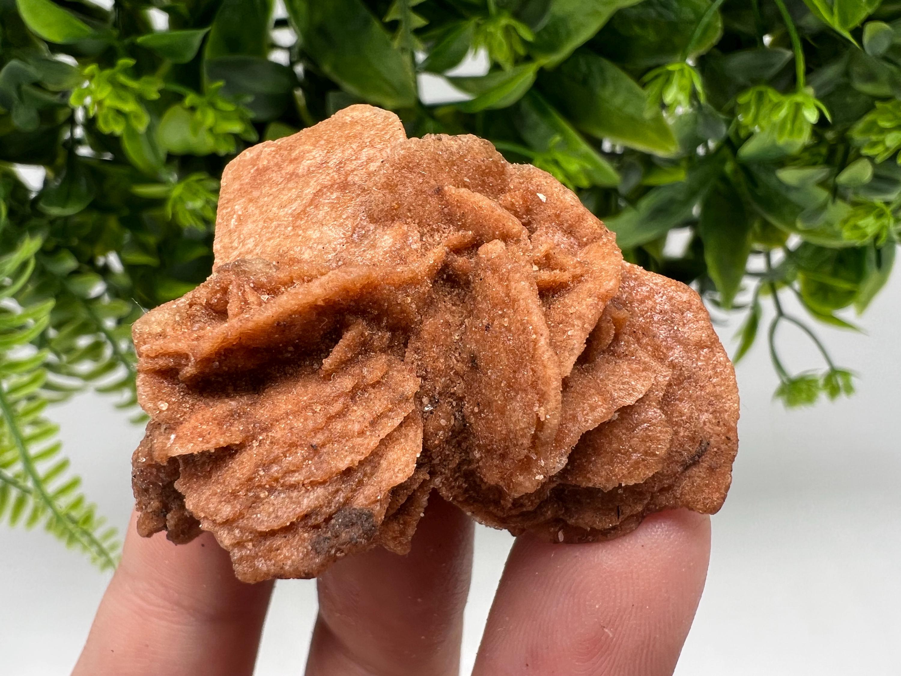 Desert Rose Selenite Crystal: Root Chakra Healing Stone, Home Decor