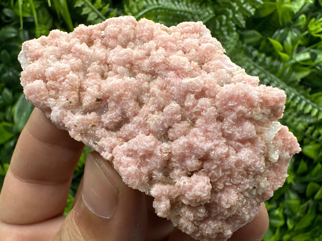 Cabinet Rhodochrosite Specimen with Quartz Crystals, Bulgaria