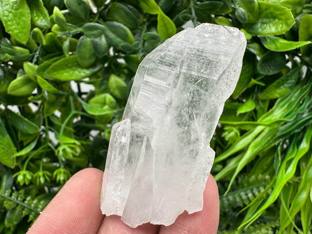 Transparent Quartz Crystal: Djurcovo Mine, Bulgaria