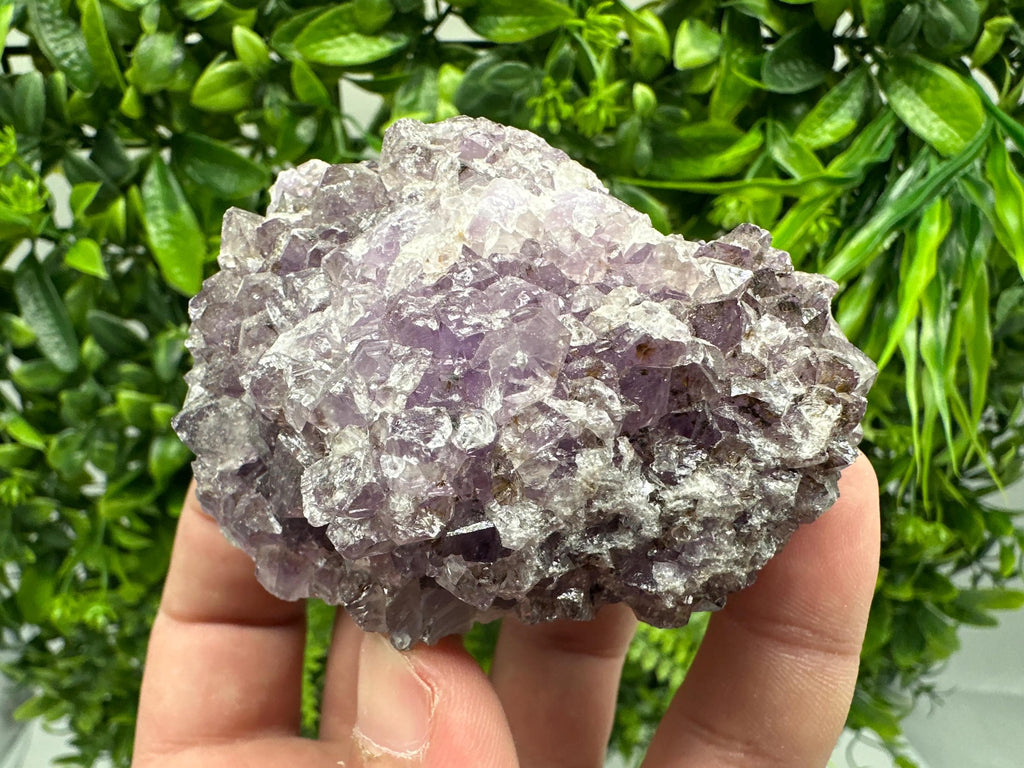 Brazilian Amethyst Cluster, Purple Quartz Crystal Specimen