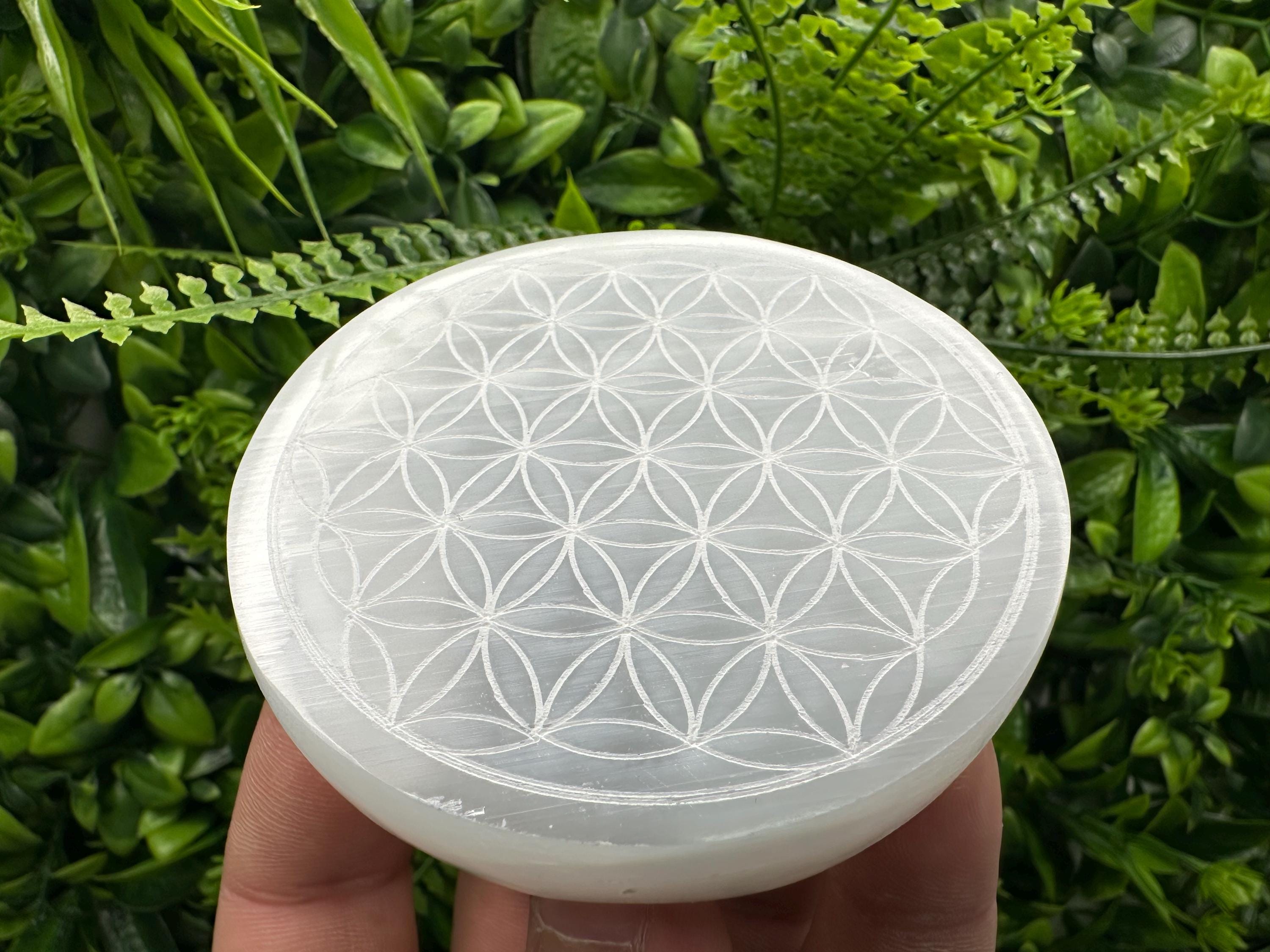 Flower of Life Selenite Plate: Crystal Recharging & Purification (8/8cm)
