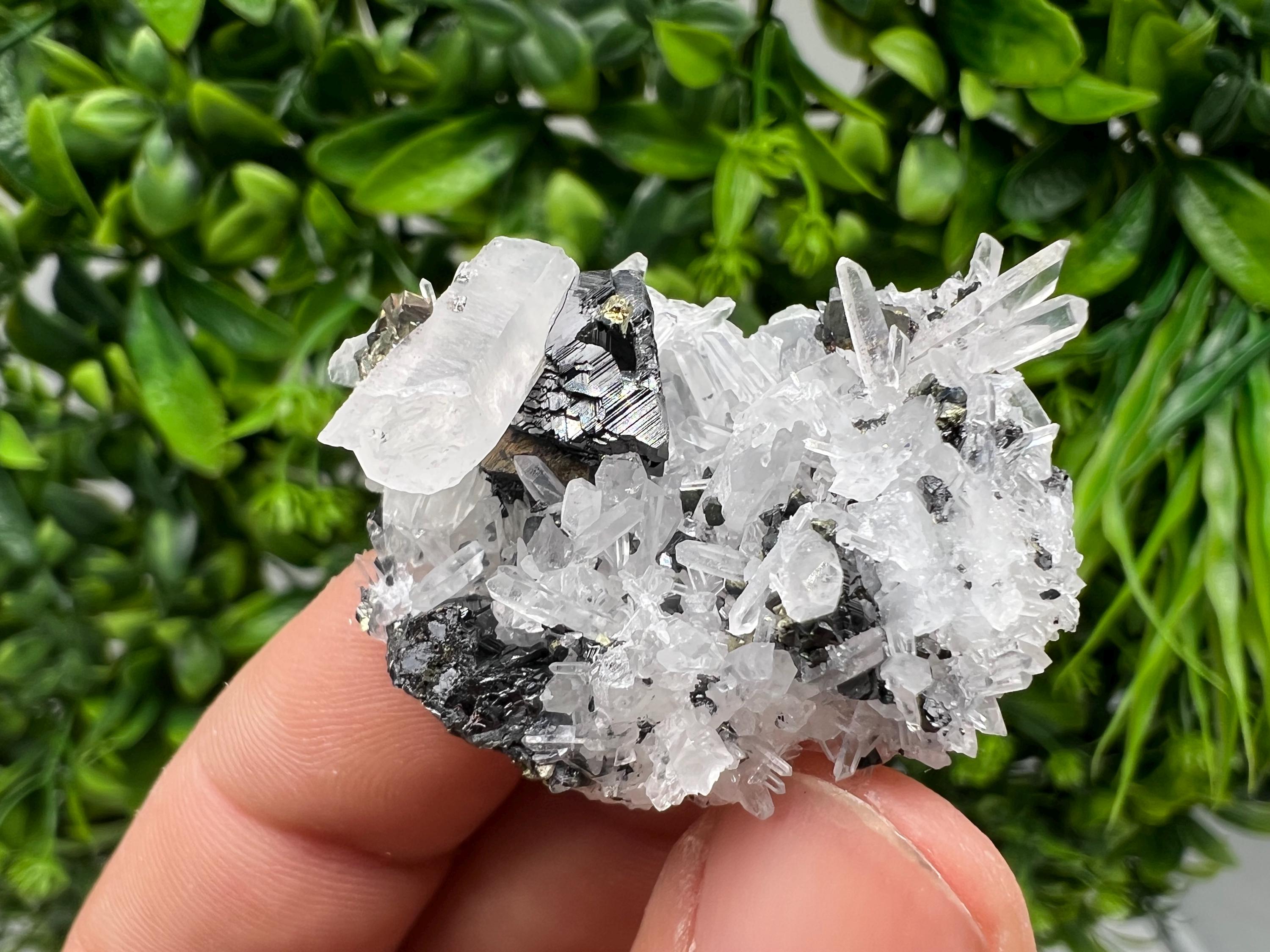 Wonderful Sphalerite Chalcopyrite on Green Quartz whit Hematite feom 9 th September mine,Bulgaria,natural,collection mineral specimen,gift