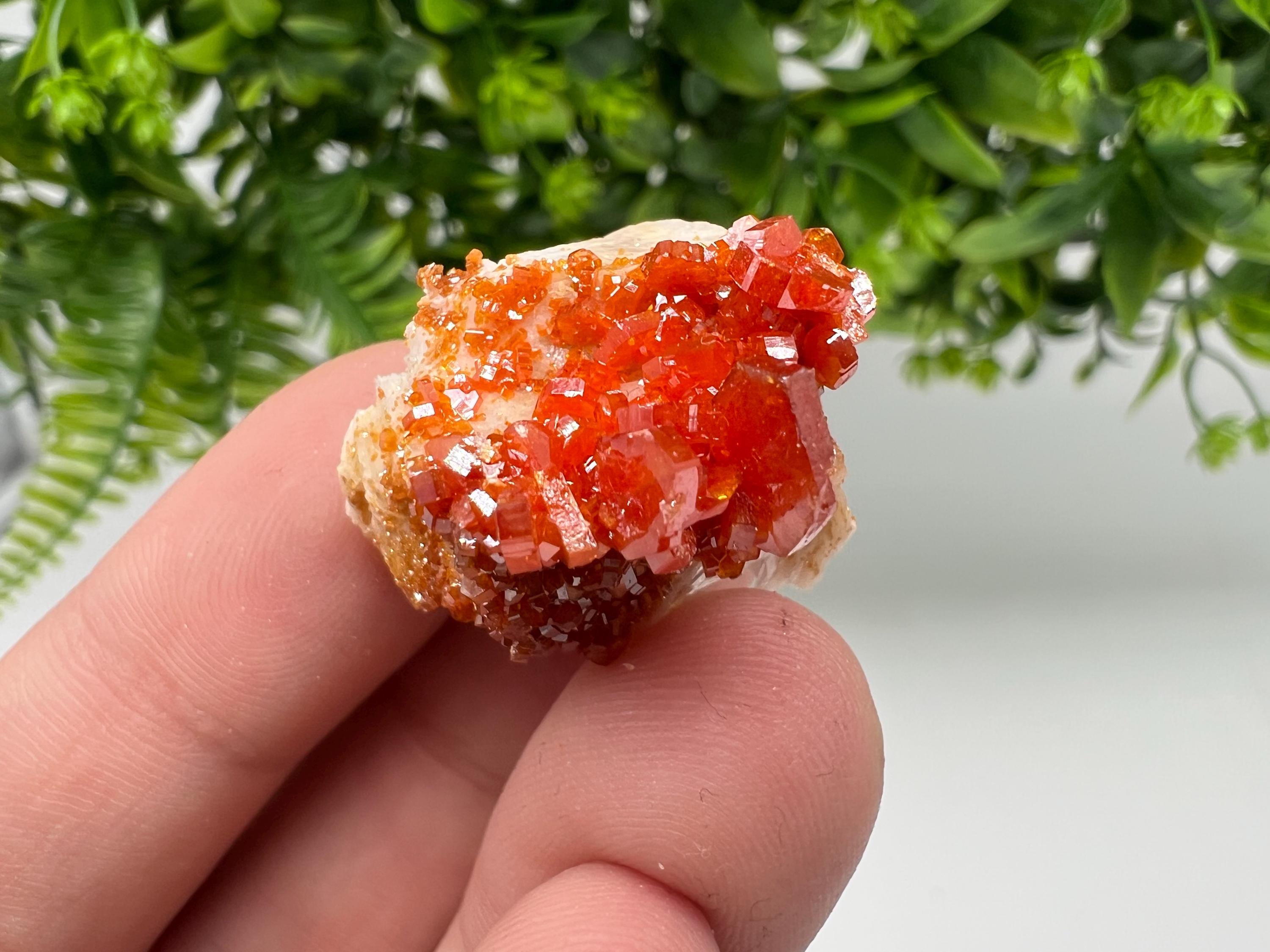 Red Vanadinite on Barite from Marocco,crystal minerals Speciment cluster Vanadinite crystal Vanadinite Geology Vanadinite cluster minerals