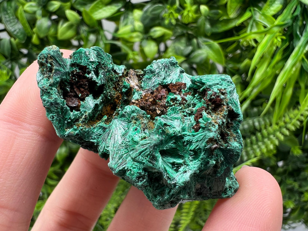 Malachite Crystal from Congo,Minerals,Crystals from Congo,Green Malachite, Malachite,Natural Malachite,Malachite Stone,Chakra, Specimens
