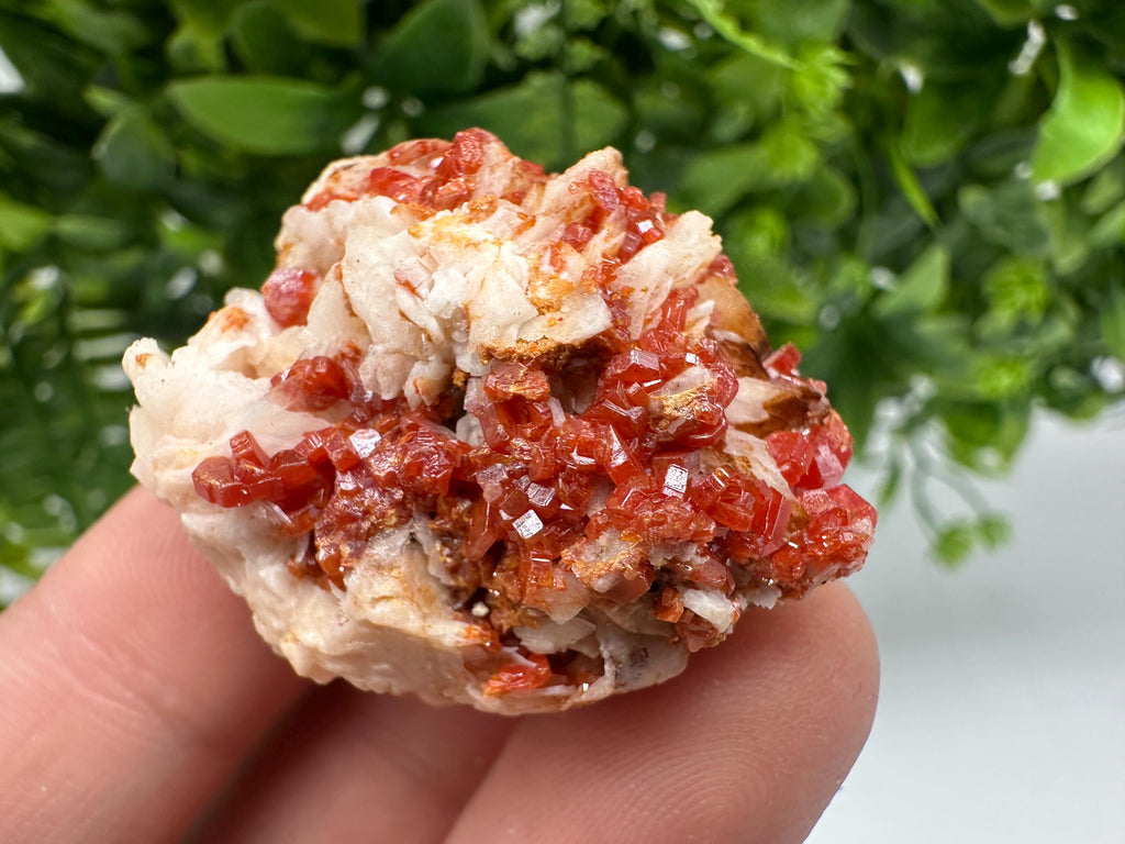 Red Vanadinite on Barite from Marocco,crystal minerals Speciment cluster Vanadinite crystal Vanadinite Geology Vanadinite cluster minerals