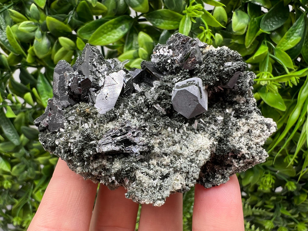 Sphalerite Galena Crystal: Chlorite Mineral Specimen, Bulgaria