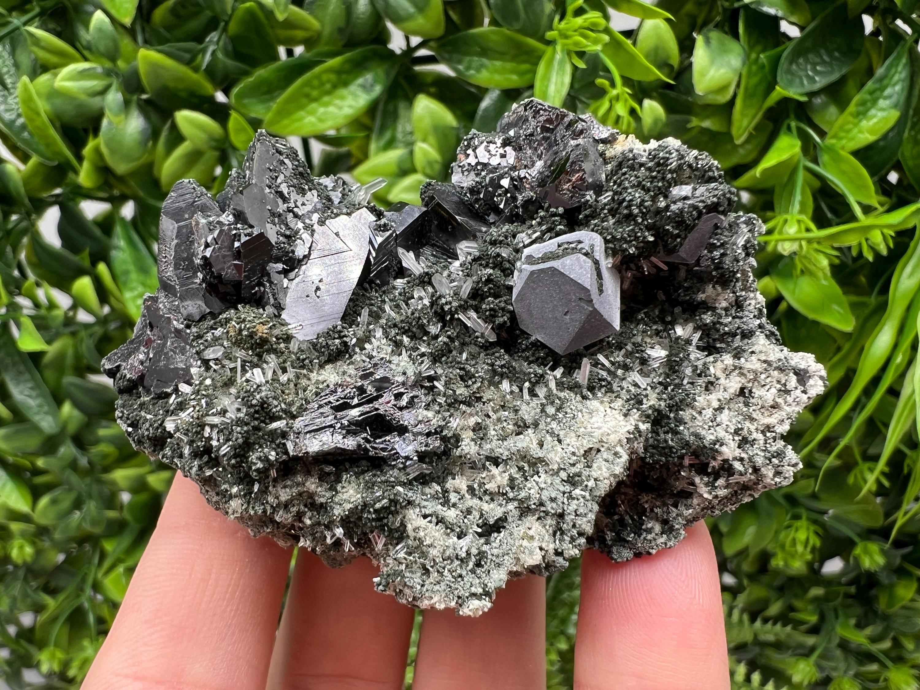 Sphalerite Galena Crystal: Chlorite Mineral Specimen, Bulgaria