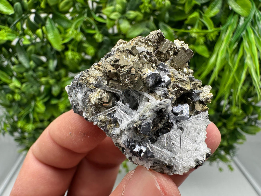 Rainbow Pyrite with Quartz: Natural Mineral Souvenir, Bulgaria