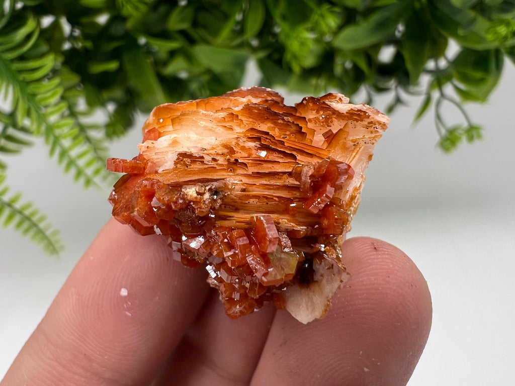 Red Vanadinite on Barite from Marocco,crystal minerals Speciment cluster Vanadinite crystal Vanadinite Geology Vanadinite cluster minerals