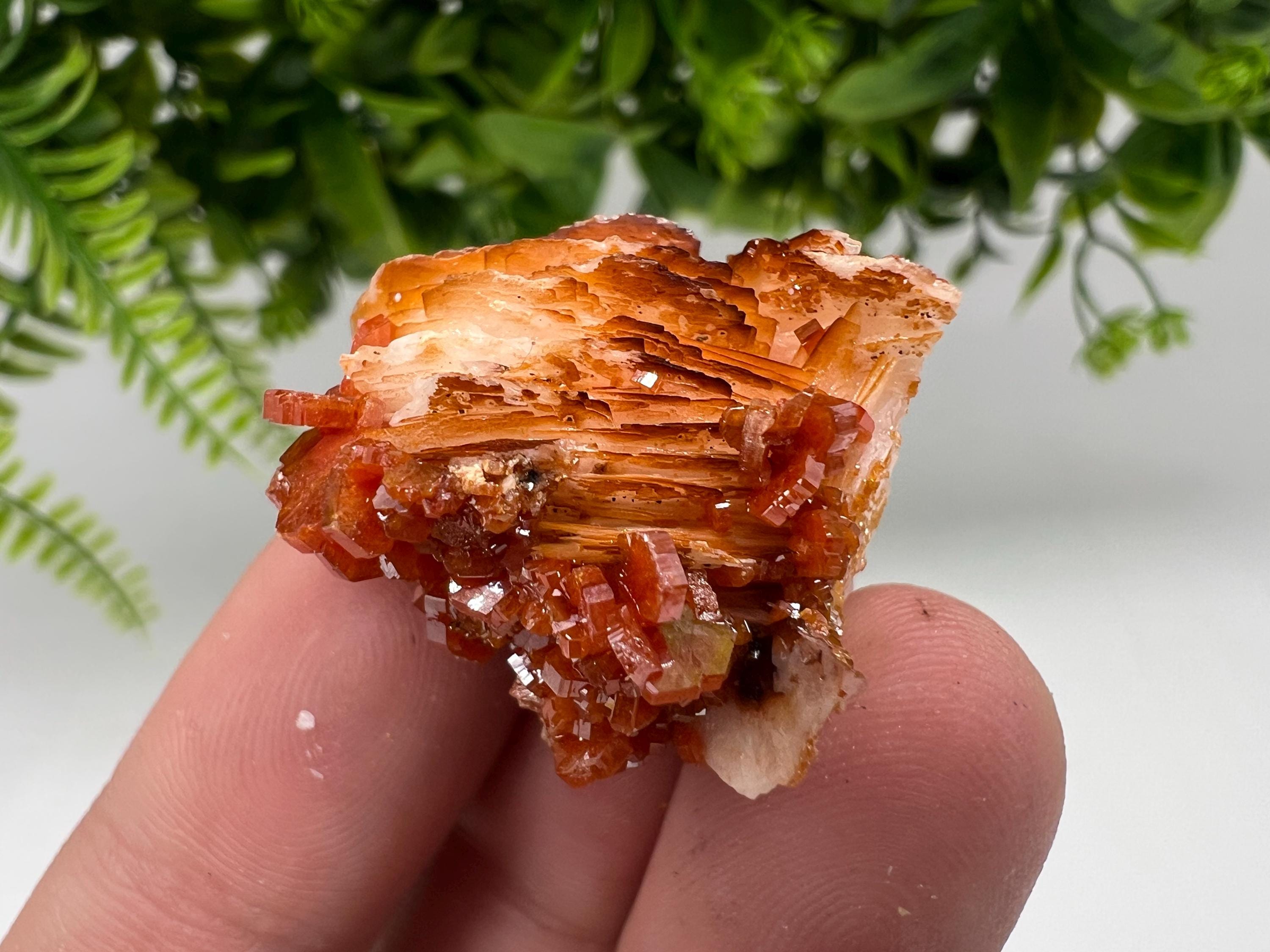 Red Vanadinite on Barite from Marocco,crystal minerals Speciment cluster Vanadinite crystal Vanadinite Geology Vanadinite cluster minerals