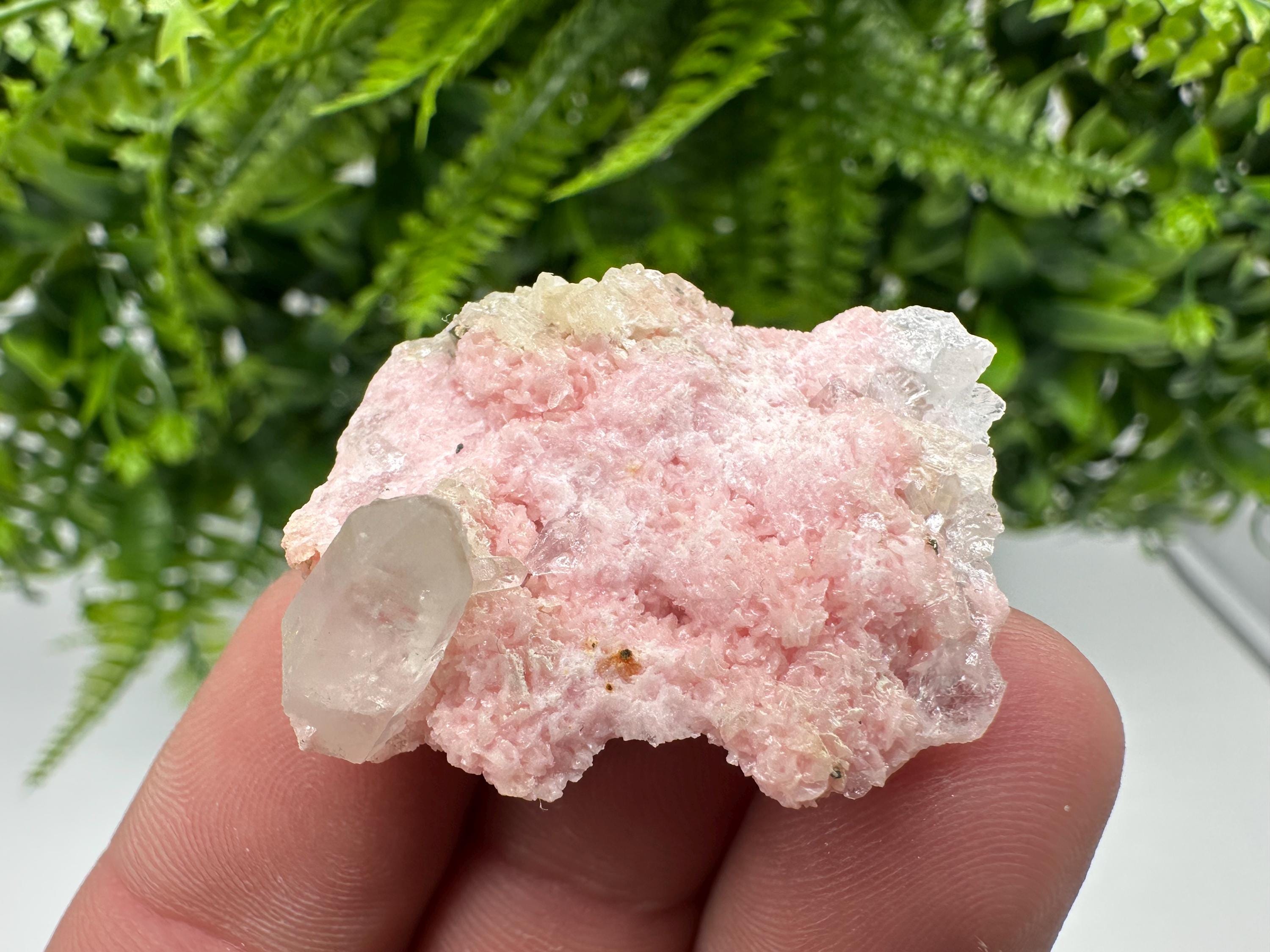 Rhodochrosite on Quartz: Pink Mineral Specimen, Starnica Mine