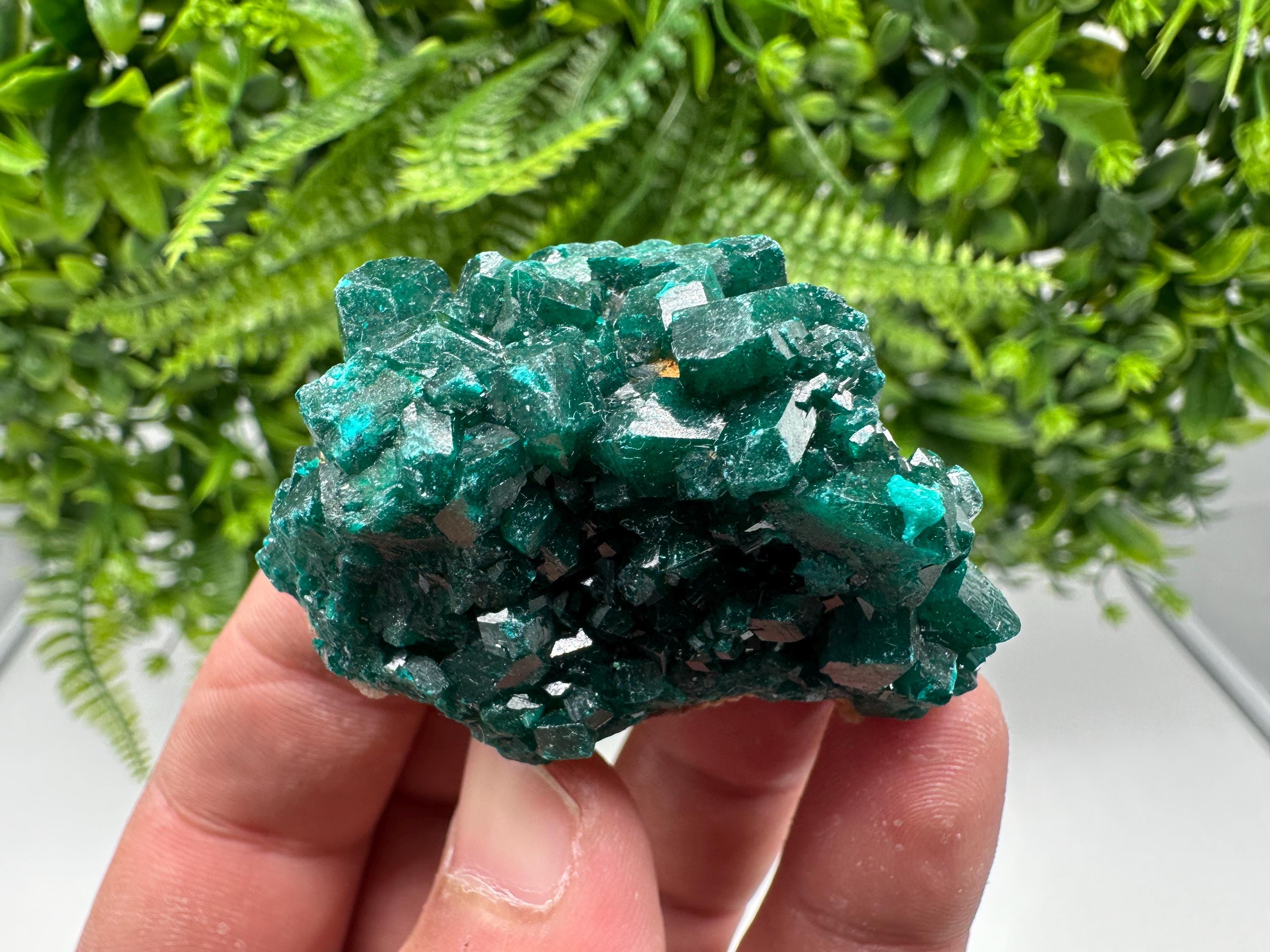 Stunning Green Dioptase from Sanda Hills,Mindouli,Pool Department,Mindouli District,Congo,green Dioptase,Dioptas Crystal,Dioptase collecting