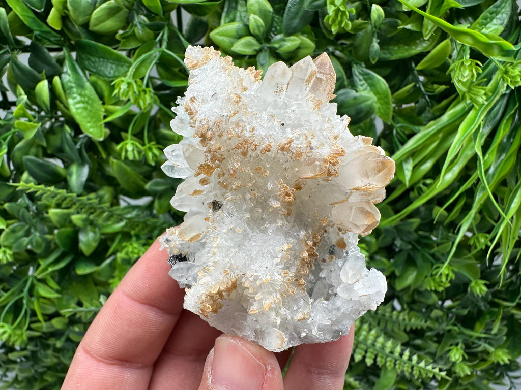 Quartz Sphalerite Chalcopyrite Mineral Specimen, Madan Bulgaria