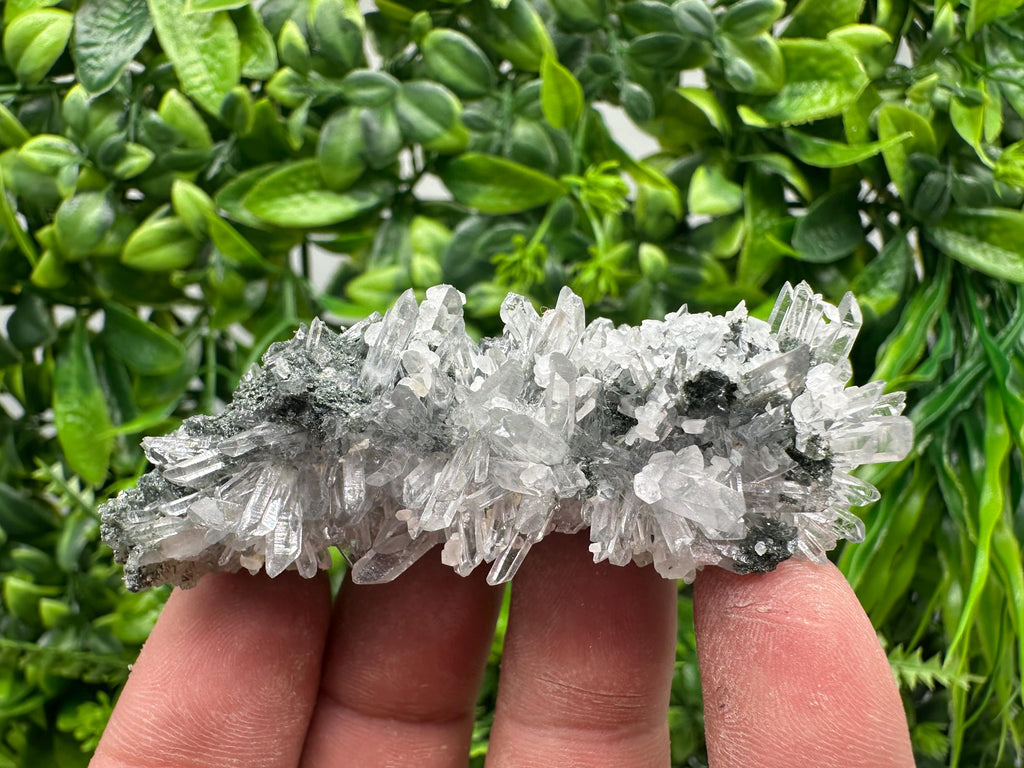 Transparent Quartz on Chlorite Matrix, Borieva Mine Mineral Specimen