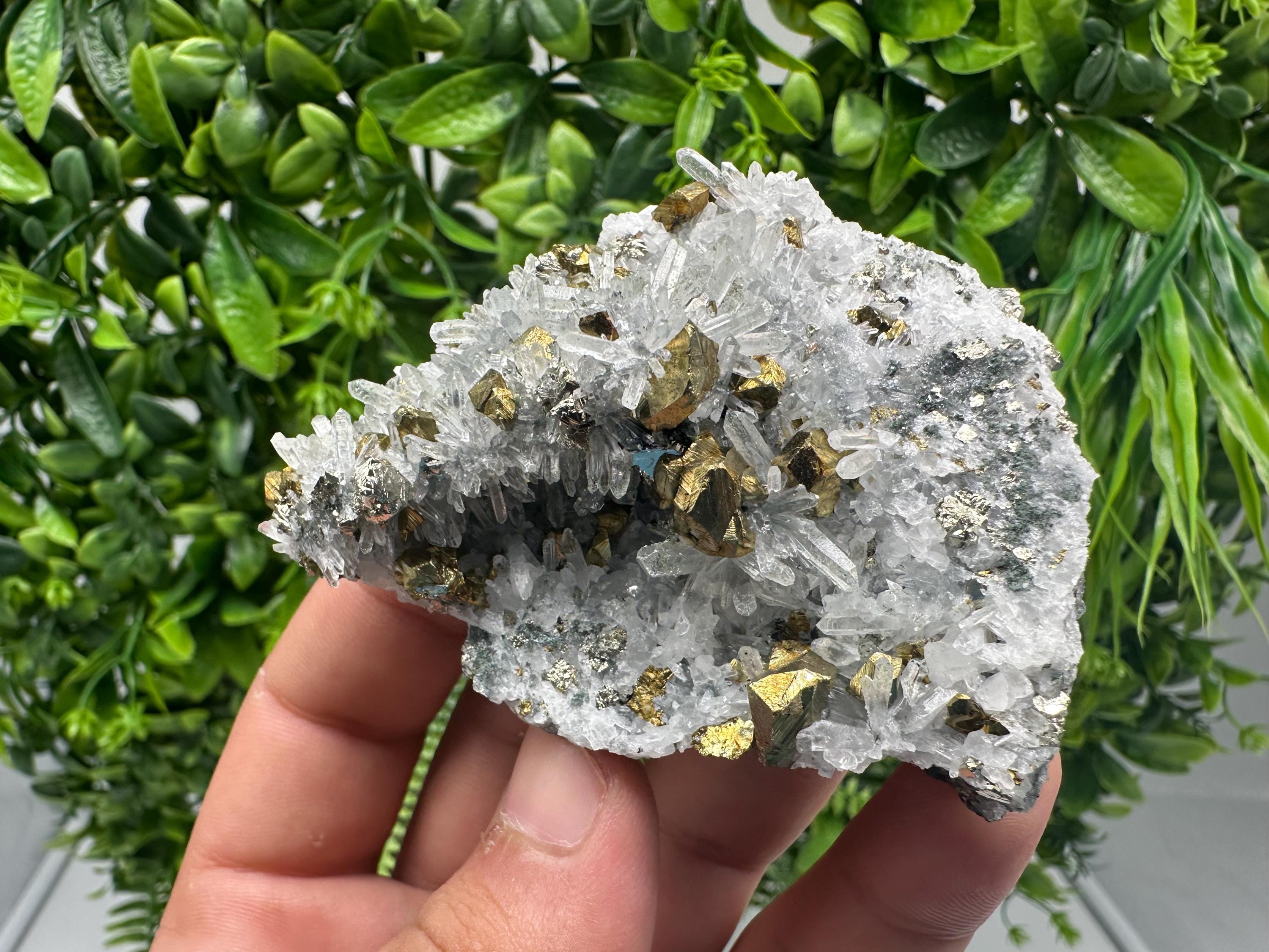 Chalcopyrite on Quartz, Chlorite Mineral Specimen, Bulgaria