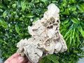 UV Calcite on Aragonite, Bulgaria Mineral Specimen, Rare Crystal
