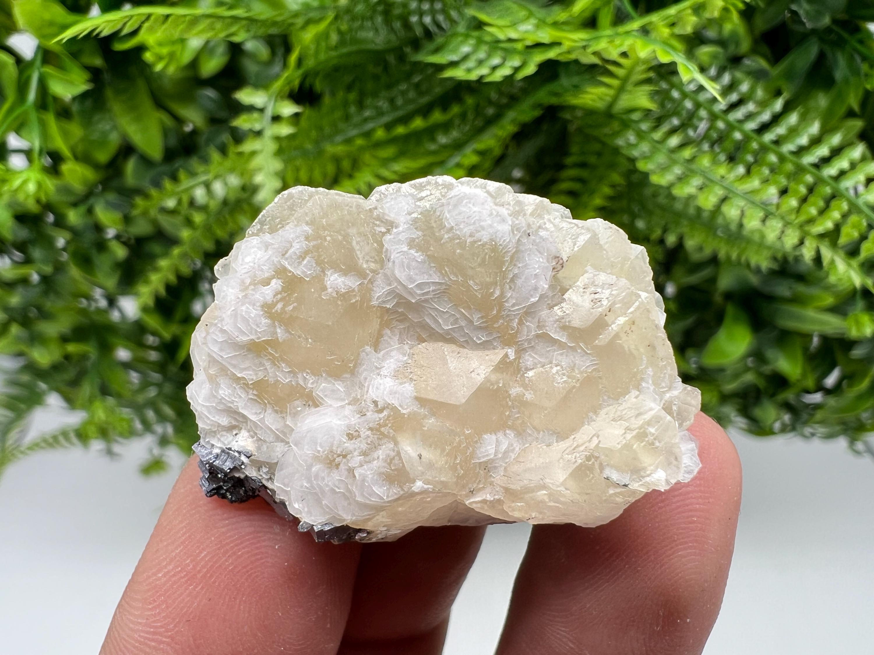 Calcite on Galena Specimen: Borieva Mine, Bulgaria