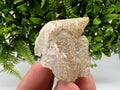 Quartz Calcite Rhodochrosite Cluster, Djurcovo Mine Bulgaria