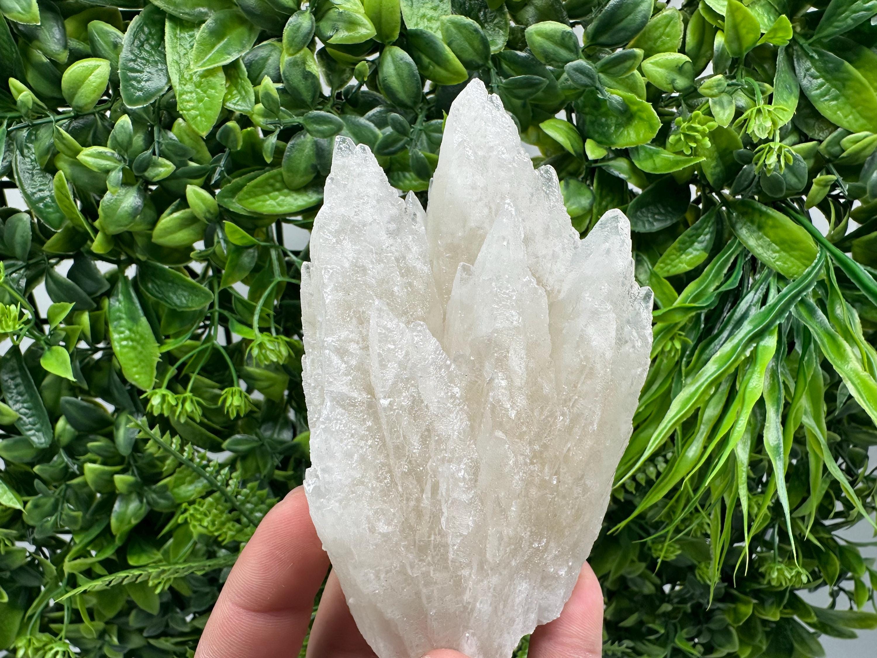 Calcite on Green Quartz: Djurcovo Mine, Bulgaria