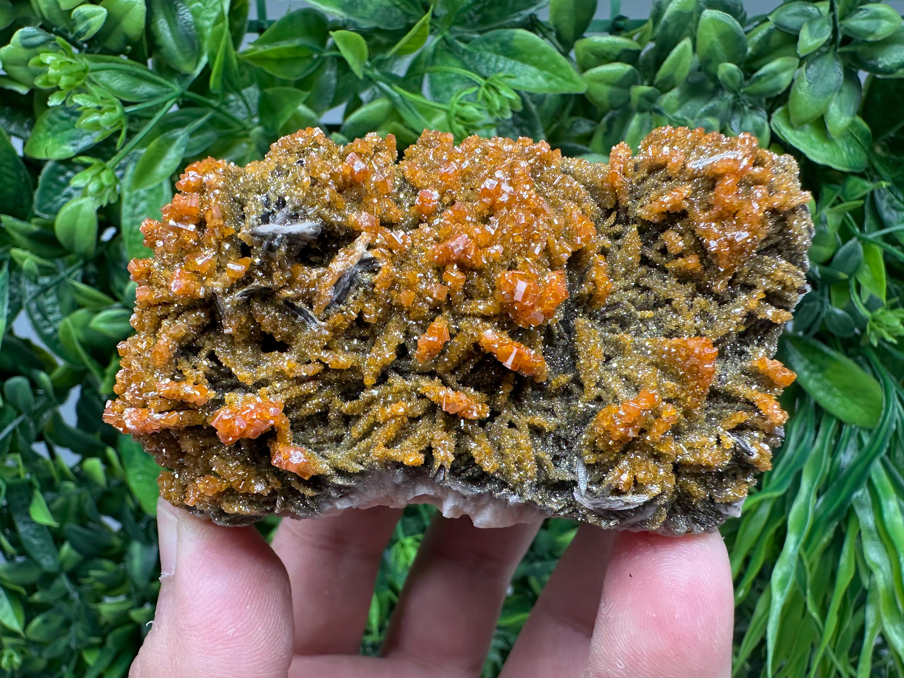 VERY Rare red Vanadinite on Barite whit Goethite from Marocco,crystal minerals Speciment cluster Vanadinite crystal Vanadinite Geology Vanad
