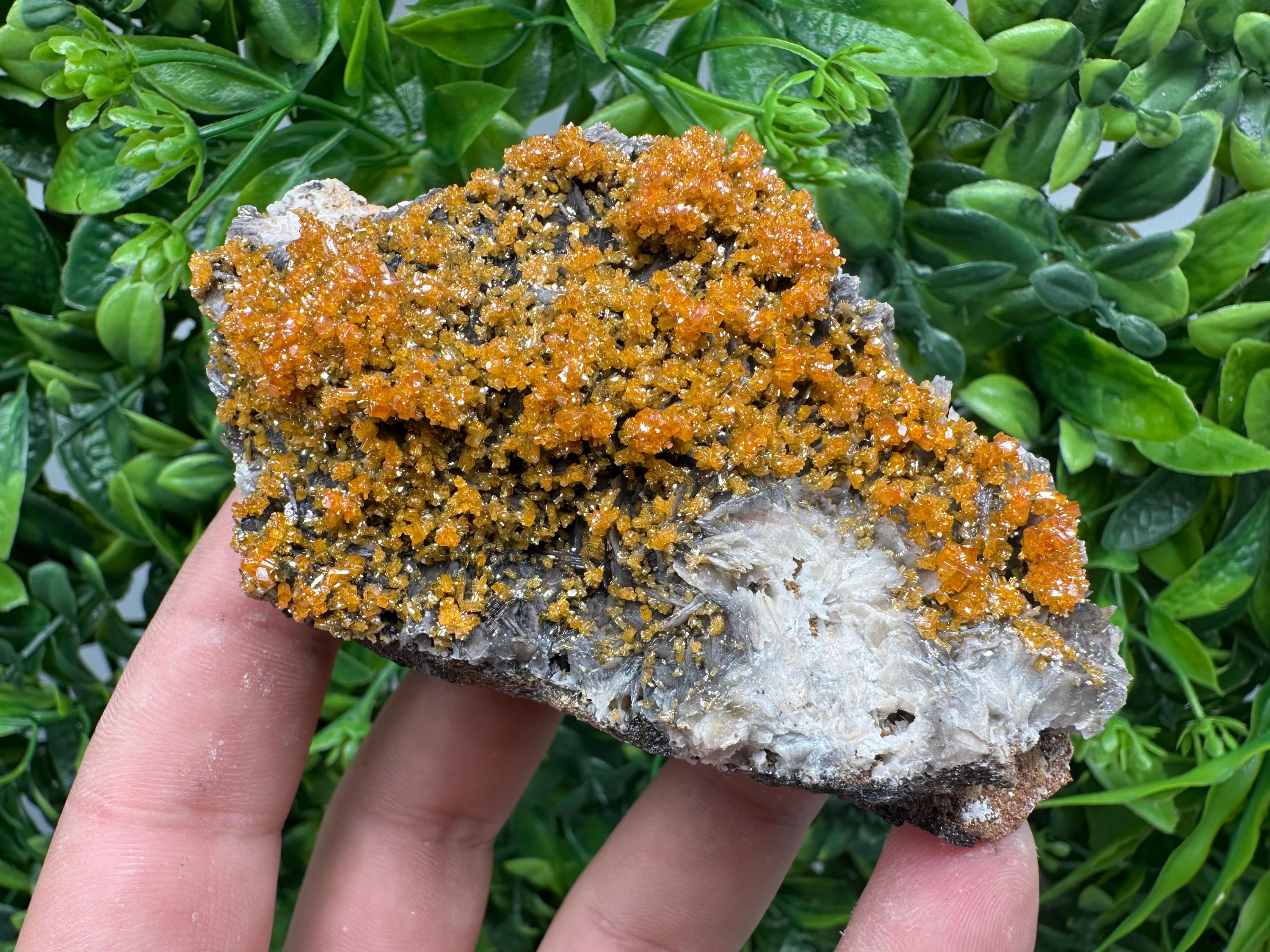 Rare Red Vanadinite Crystal Cluster on Barite with Goethite, Morocco