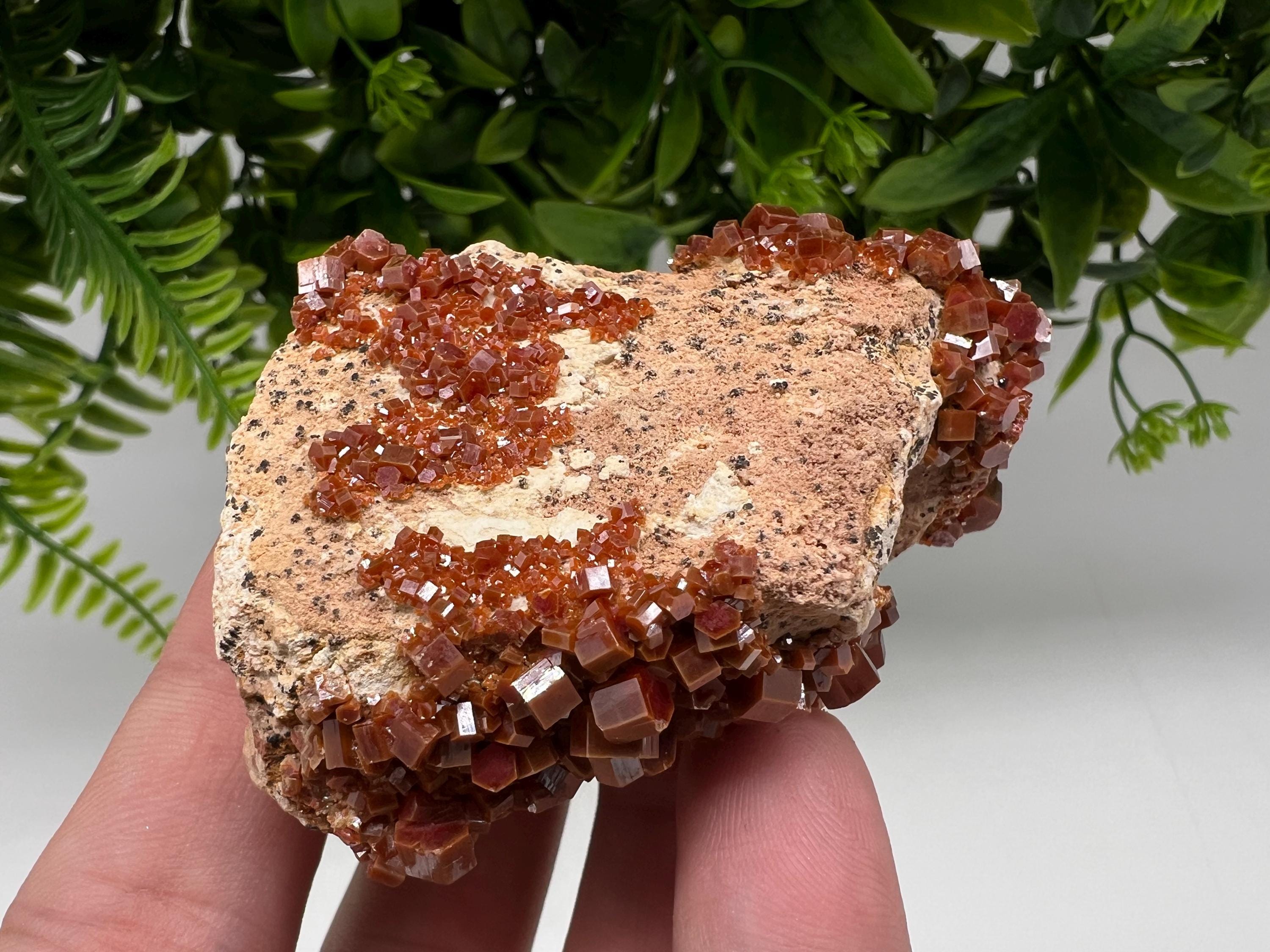 Red Vanadinite on Barite from Marocco,crystal minerals Speciment cluster Vanadinite crystal Vanadinite Geology Vanadinite cluster minerals