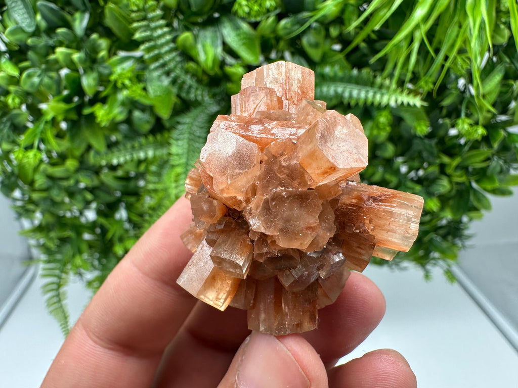 Aragonite Sputnik Cluster: Raw Moroccan Crystal Stone, Home Decor