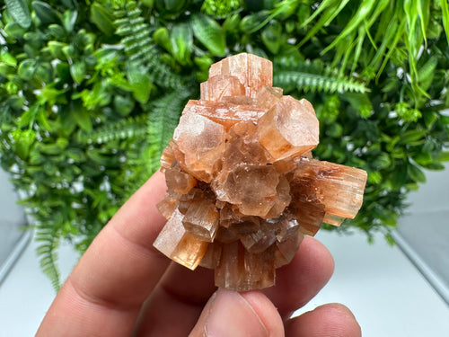 Aragonite Sputnik Cluster: Raw Moroccan Crystal Stone, Home Decor