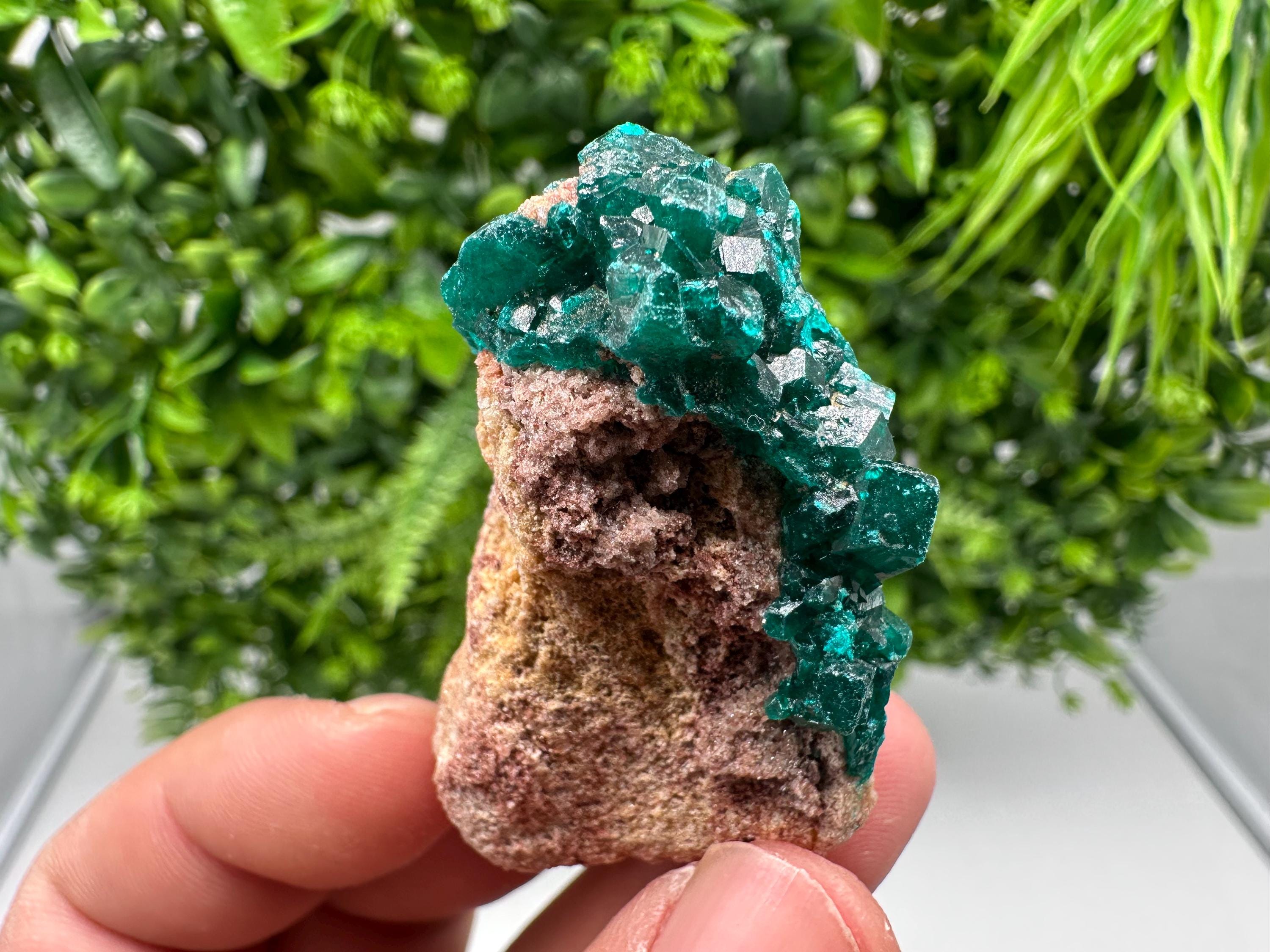 Stunning Green Dioptase from Sanda Hills,Mindouli,Pool Department,Mindouli District,Congo,green Dioptase,Dioptas Crystal,Dioptase collecting
