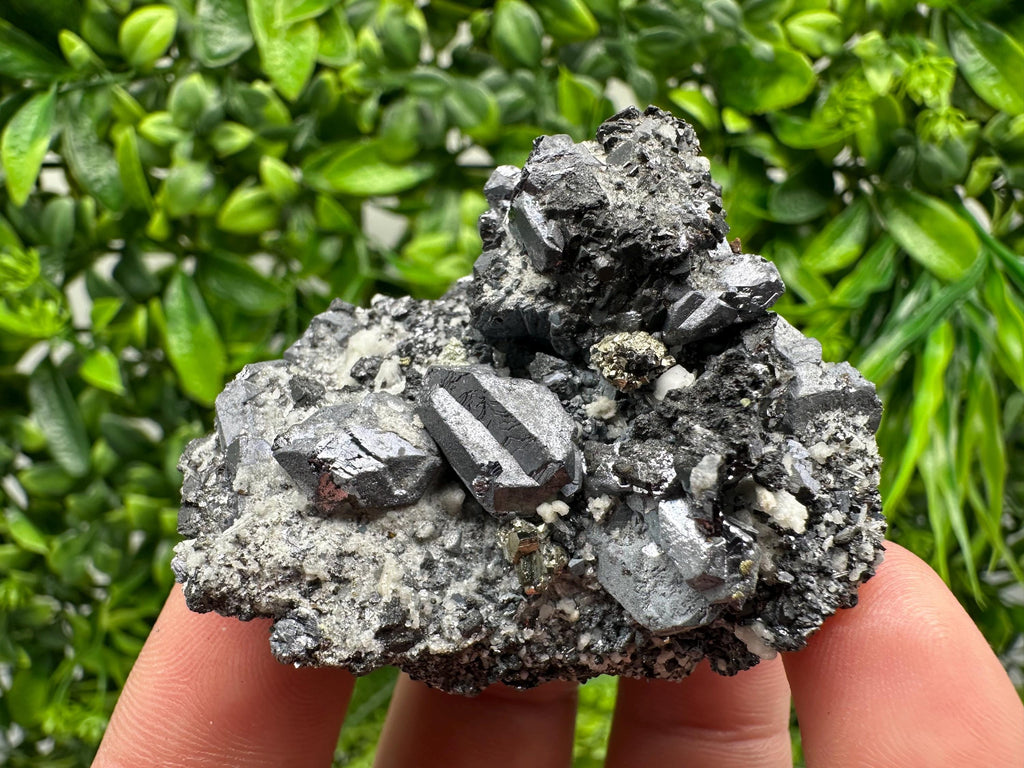Stunning Shpinel Galena on Sphalerite from Borieva mine,Madan,Bulgaria,Natural,collectible mineral specimen,home decor,collectible’s crystal