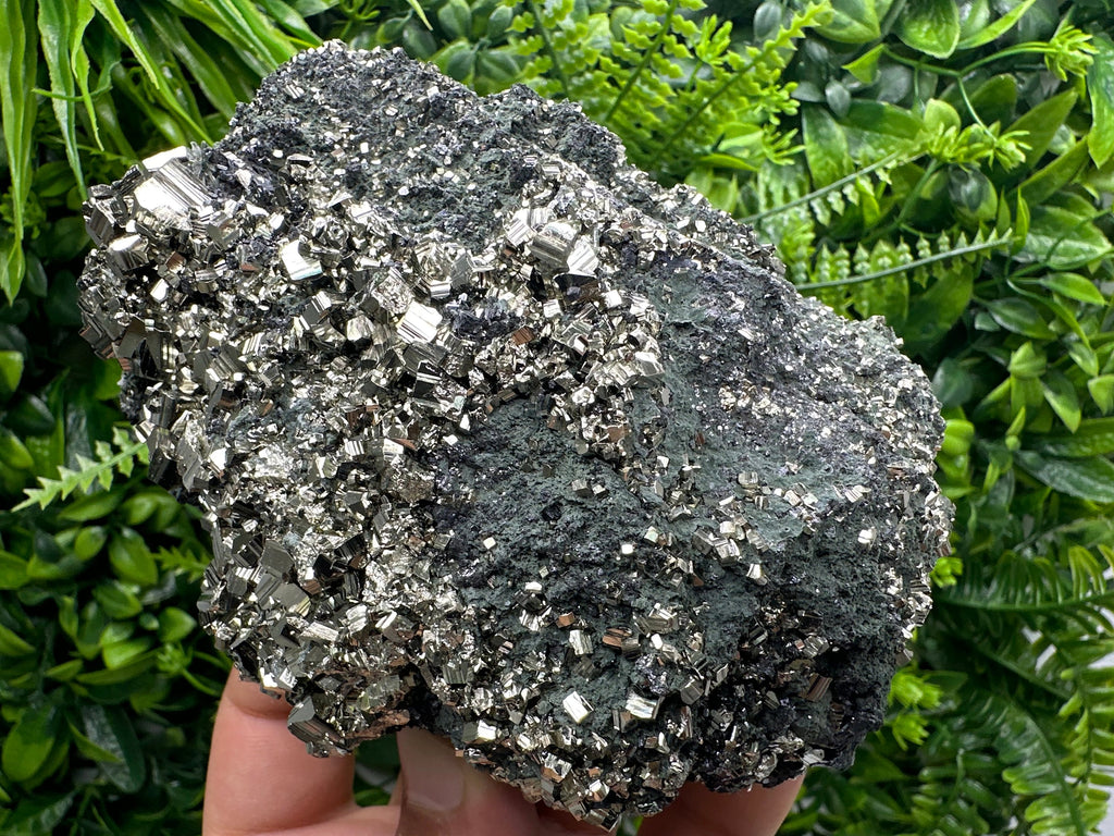 Golden Pyrite on Sphalerite with Chlorite, Bulgaria Mineral Specimen