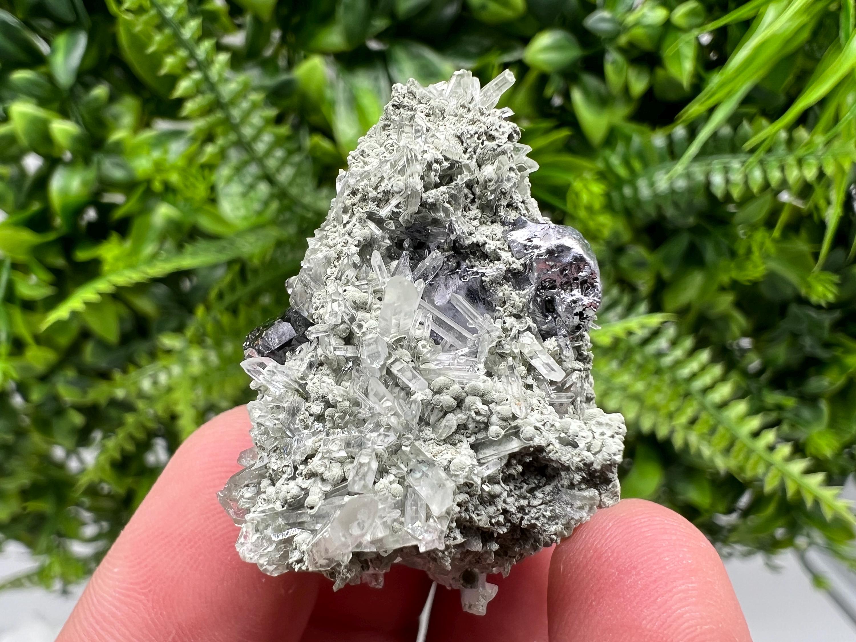 Sphalerite with Chlorite Crystal, Borieva Mine, Bulgaria
