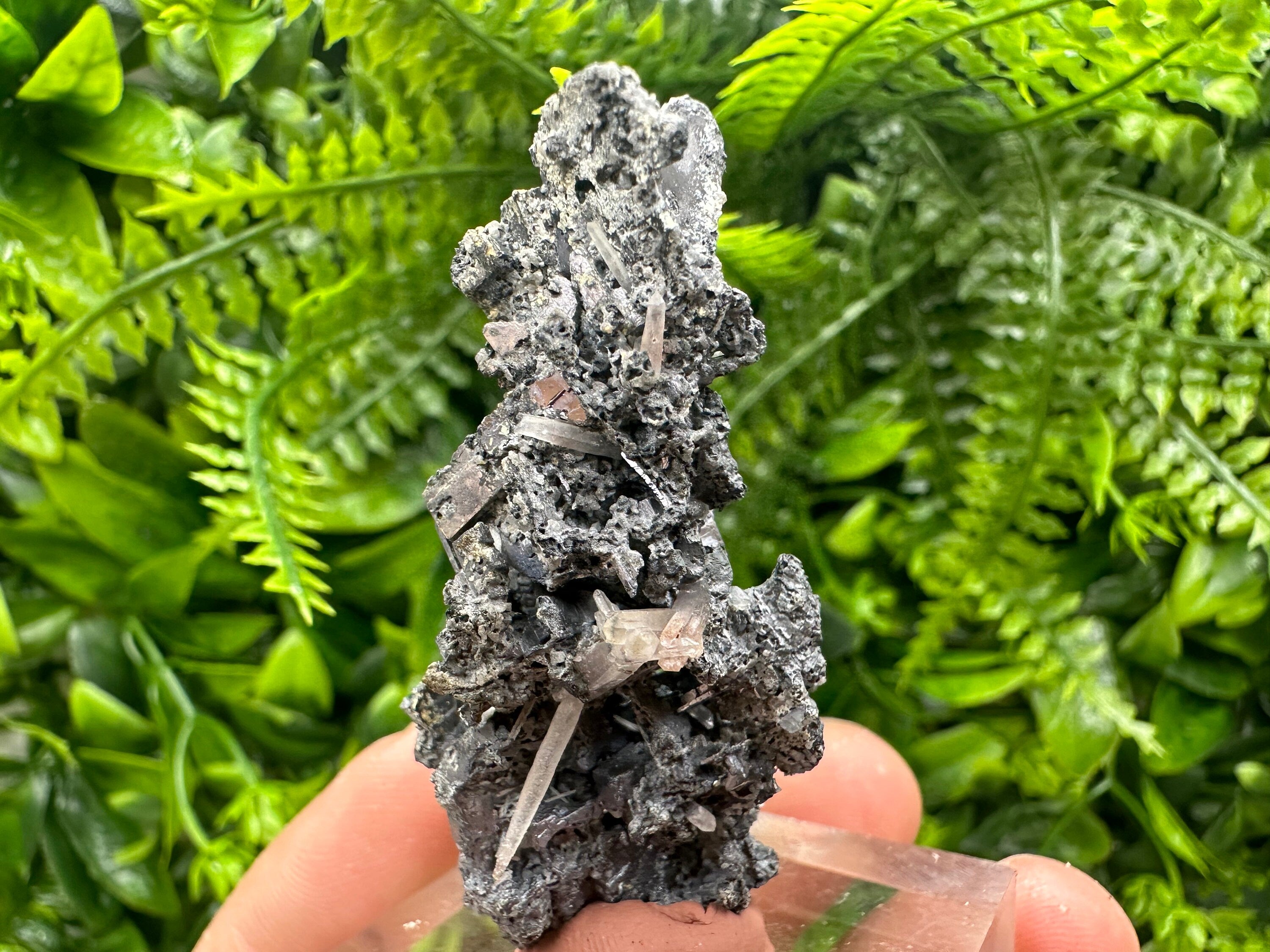 Rare Skeletal Galena Cluster, Bulgaria Mineral Specimen