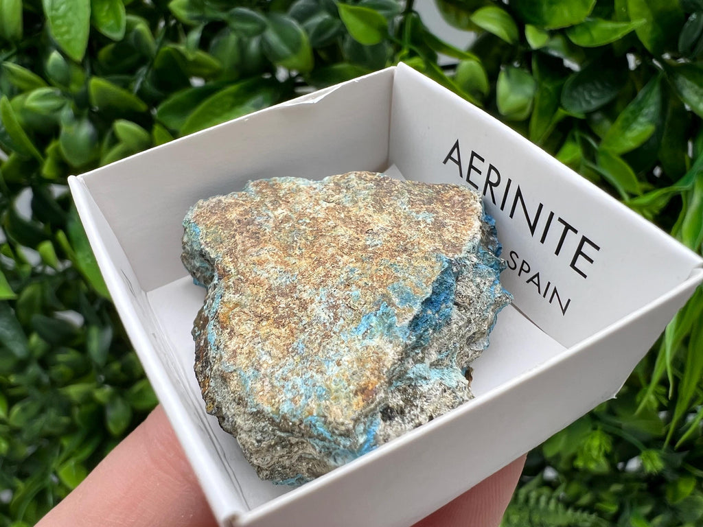 Rare Raw Aerinite Mineral Specimen: Collection Crystal from Lleida, Spain (3.5/3.5 CM)