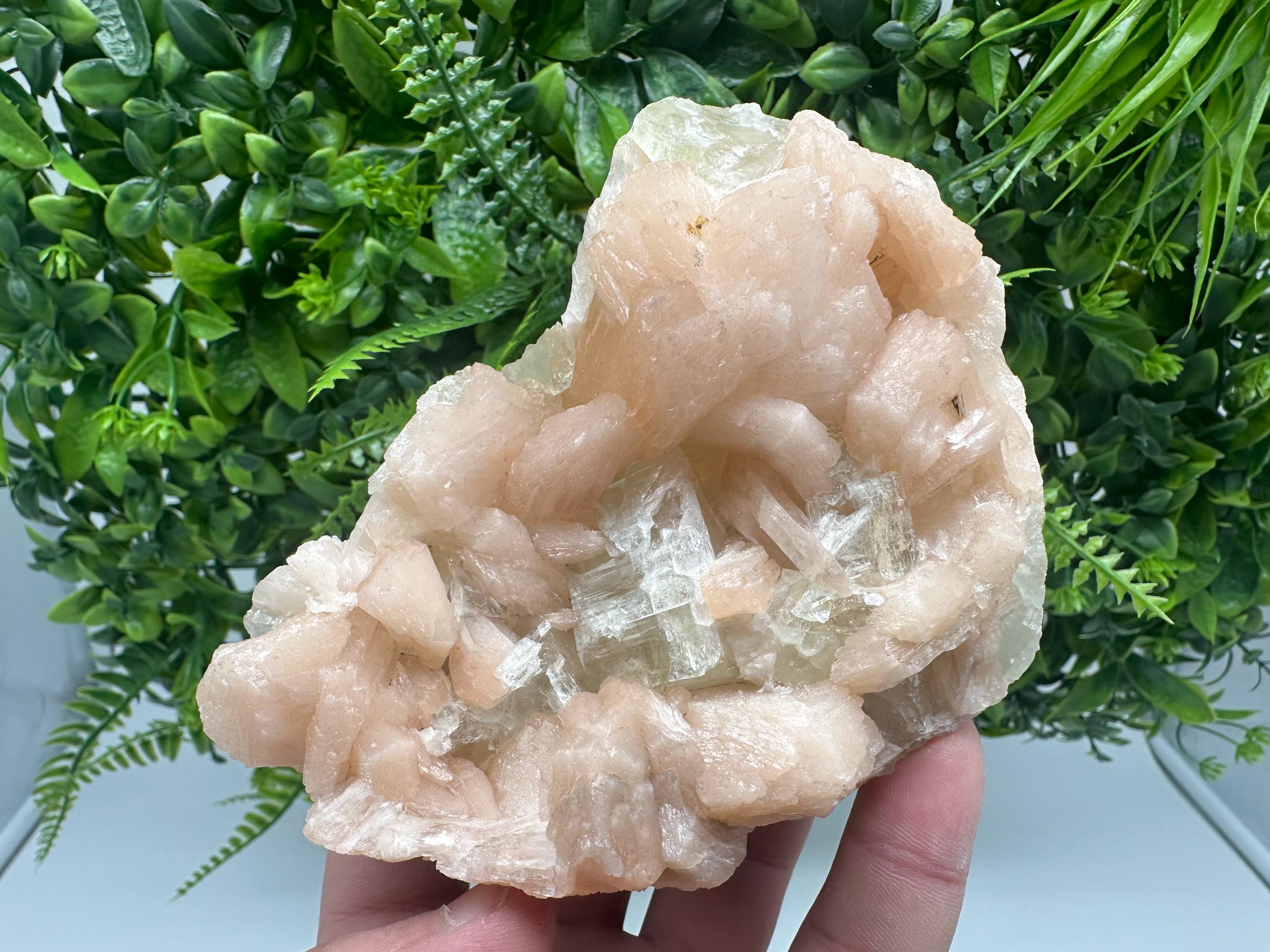 Apophyllite Stilbite on Chalcedony, India Crystal Specimen