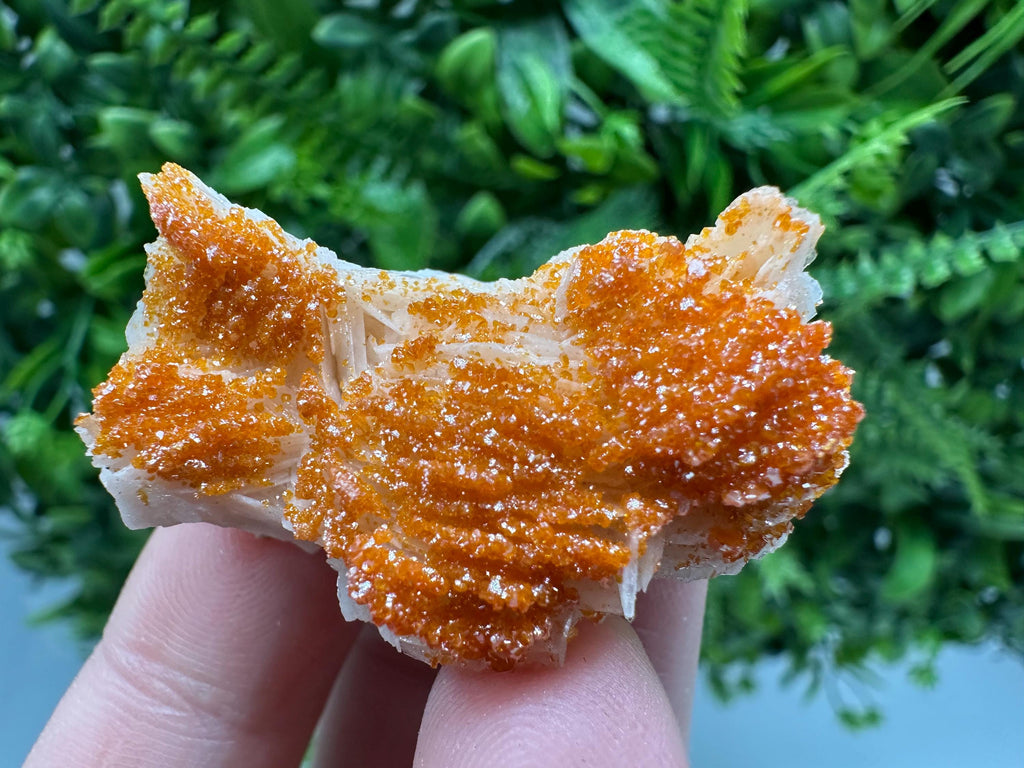 Red Vanadinite on Barite, Moroccan Crystal Specimen