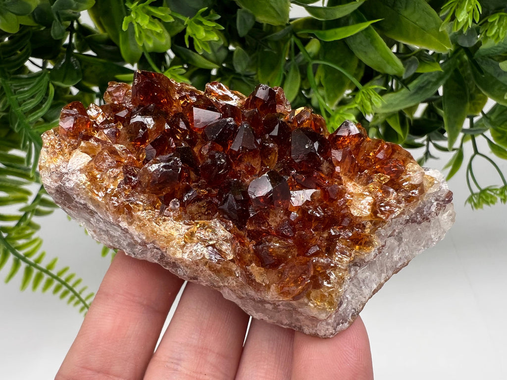 Citrine Crystal Cluster with Hematite Inclusions, Brazil