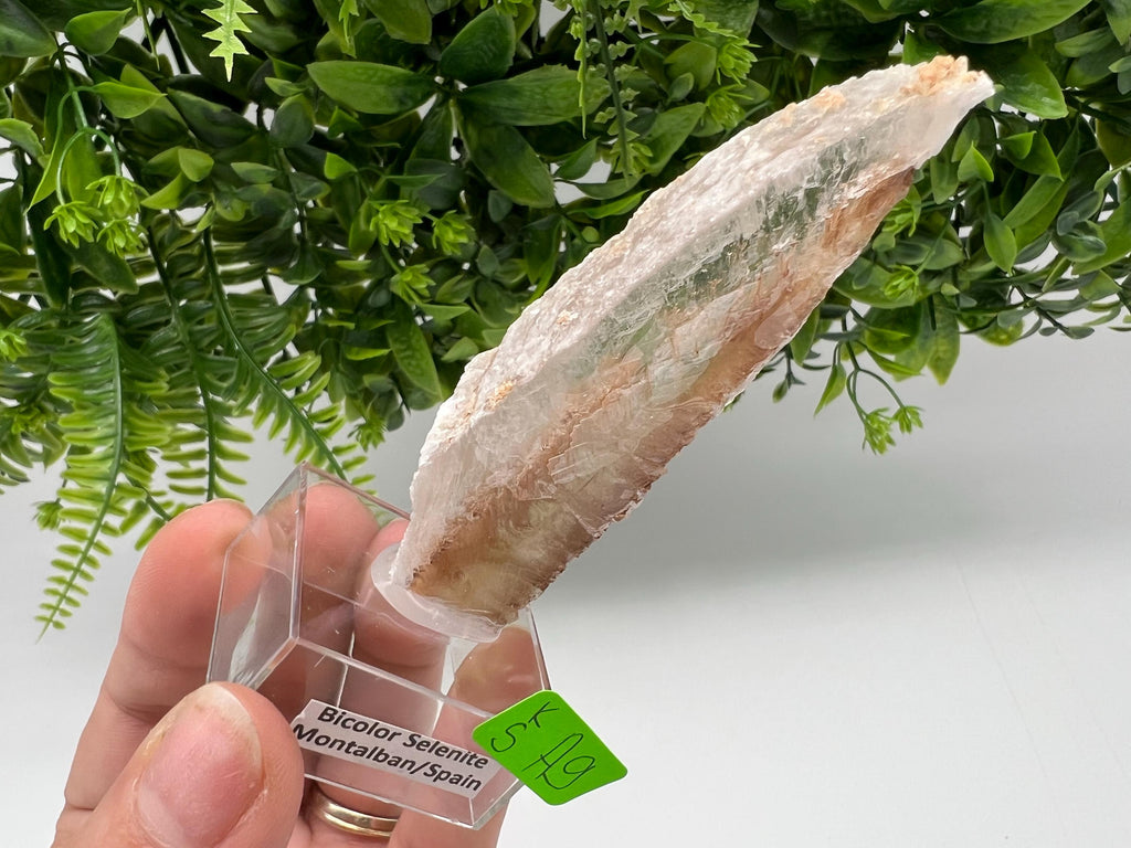 Golden Phantom Selenite Slab, Utah Raw Fishtail Selenite