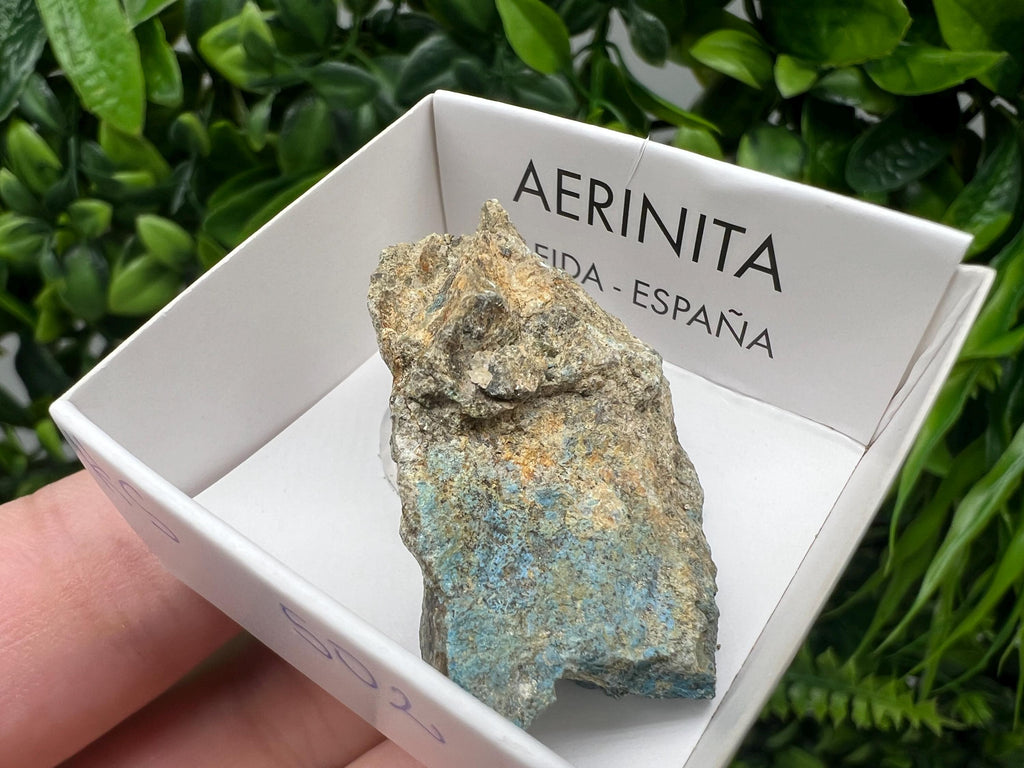 Rare Raw Aerinite Mineral Specimen: Lleida Spain Crystal, 4/2.5cm