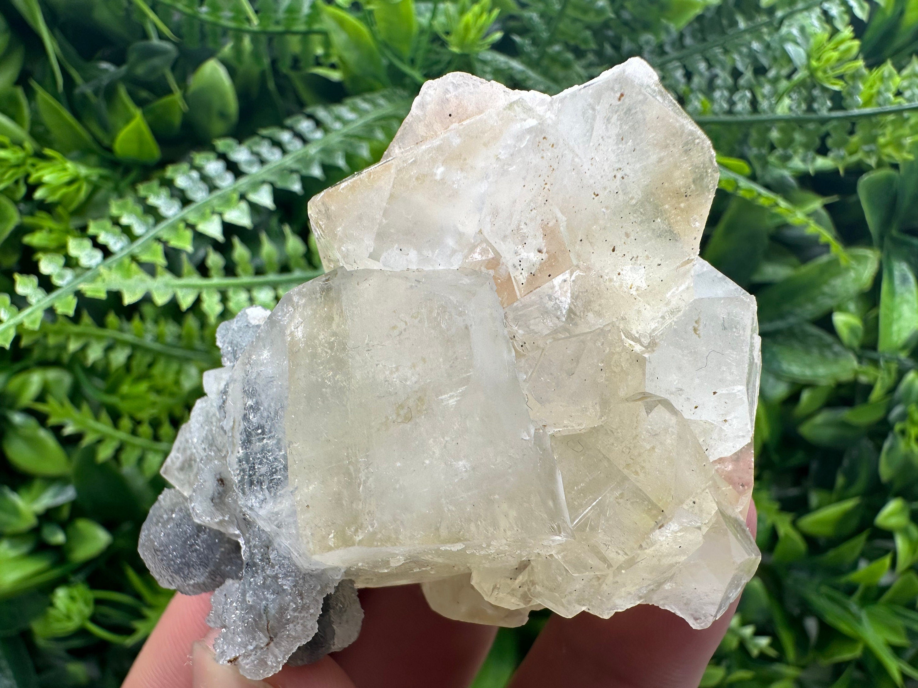 Apophyllite Stilbite on Chalcedony, India Mineral Specimen