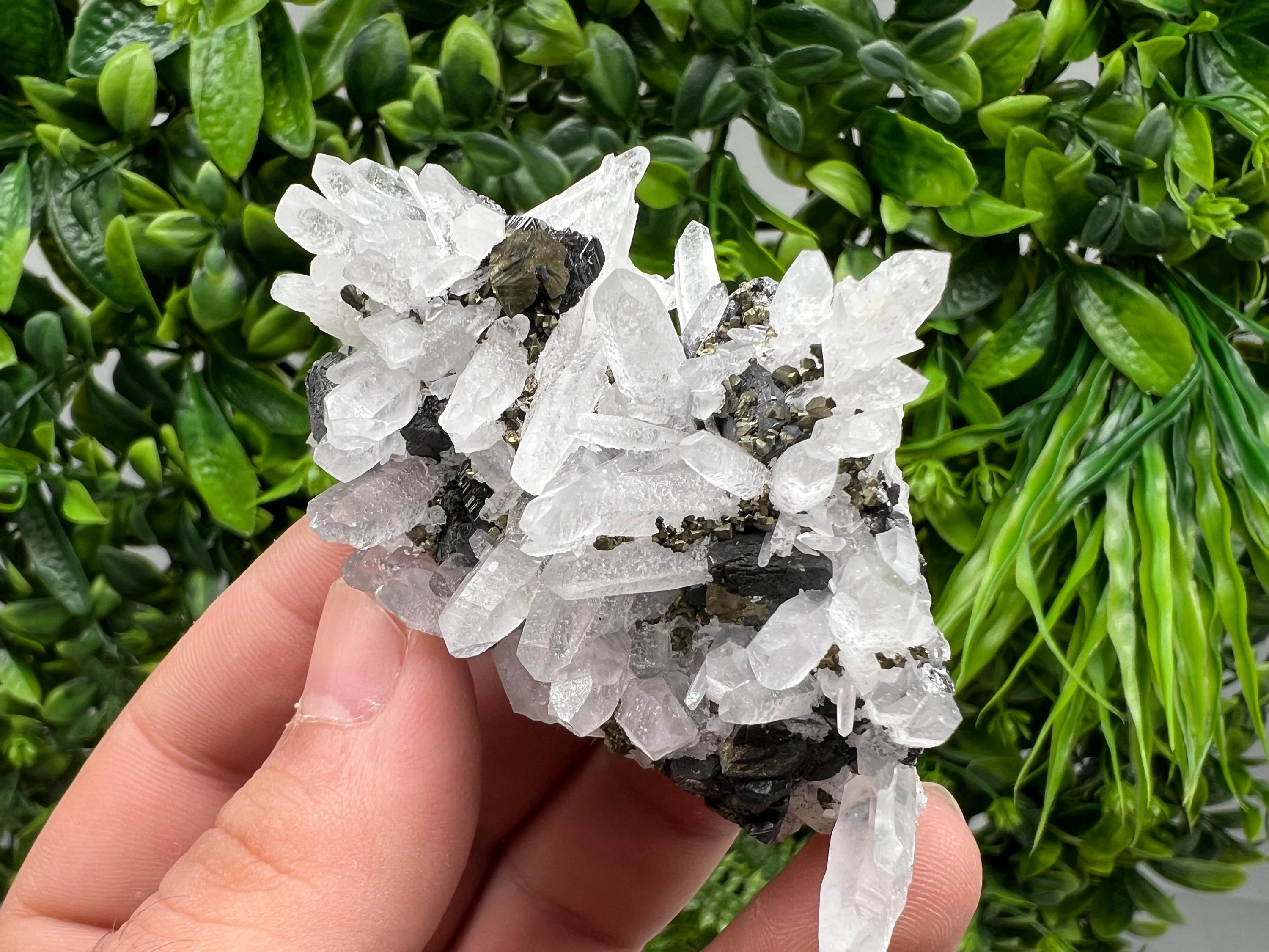 Wonderful Sphalerite Chalcopyrite on Green Quartz whit Hematite feom 9 th September mine,Bulgaria,natural,collection mineral specimen,gift