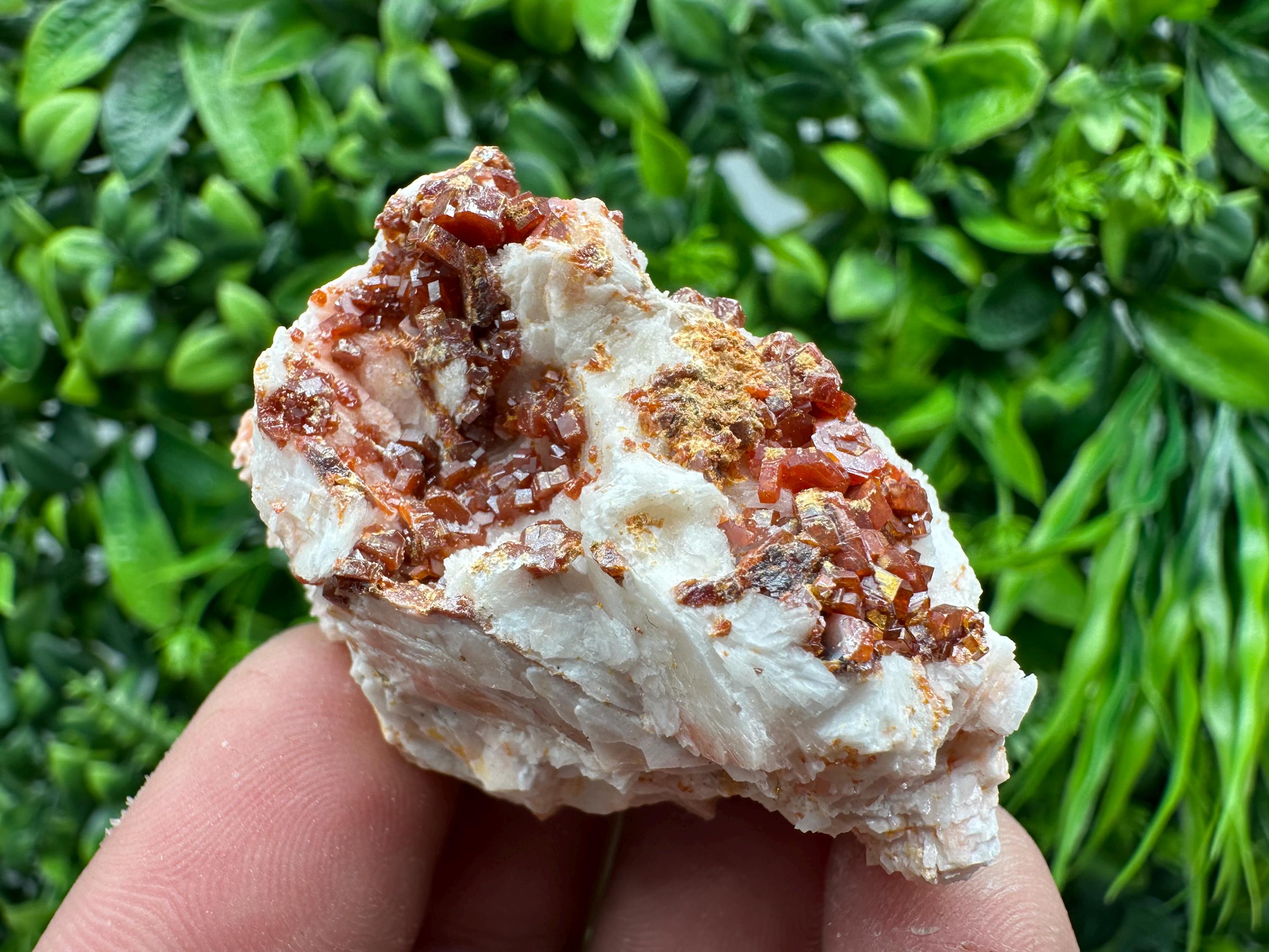 Red Vanadinite on Barite, Morocco Crystal Cluster