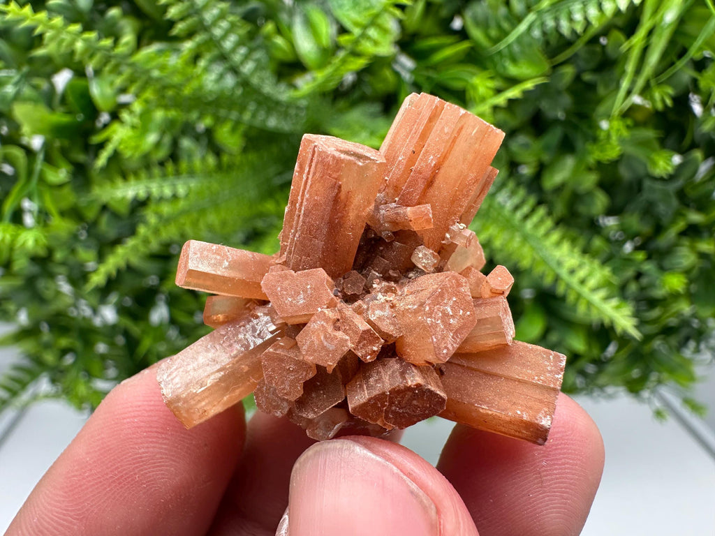 Moroccan Aragonite Sputnik Cluster: Raw Crystal Stone Decor
