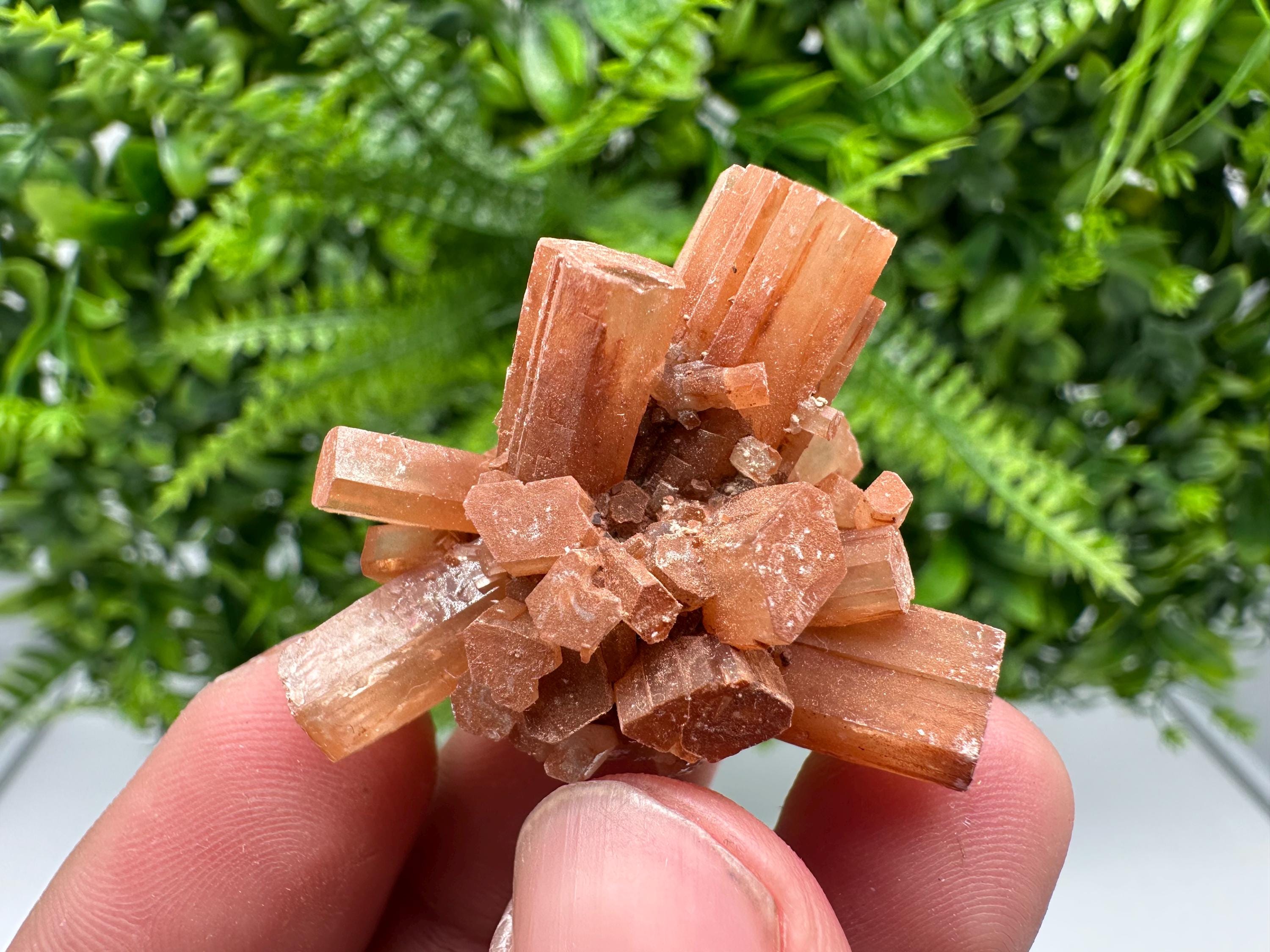 Moroccan Aragonite Sputnik Cluster: Raw Crystal Stone Decor