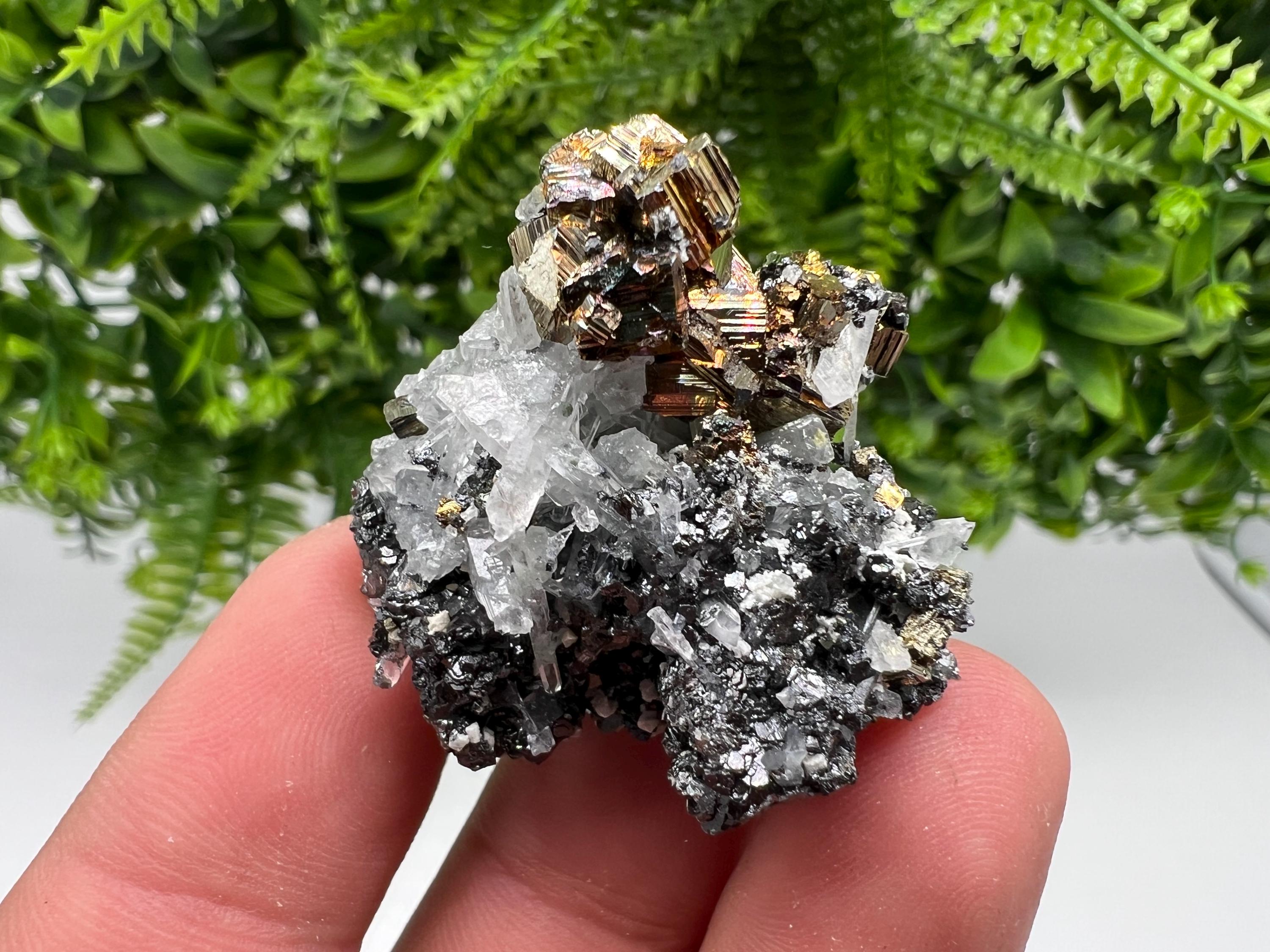 Wonderful Quartz whit Pyrite natural minerals crystal souvenir stone,collection minerals specimen,gift,home decor crystal,Borieva mine,