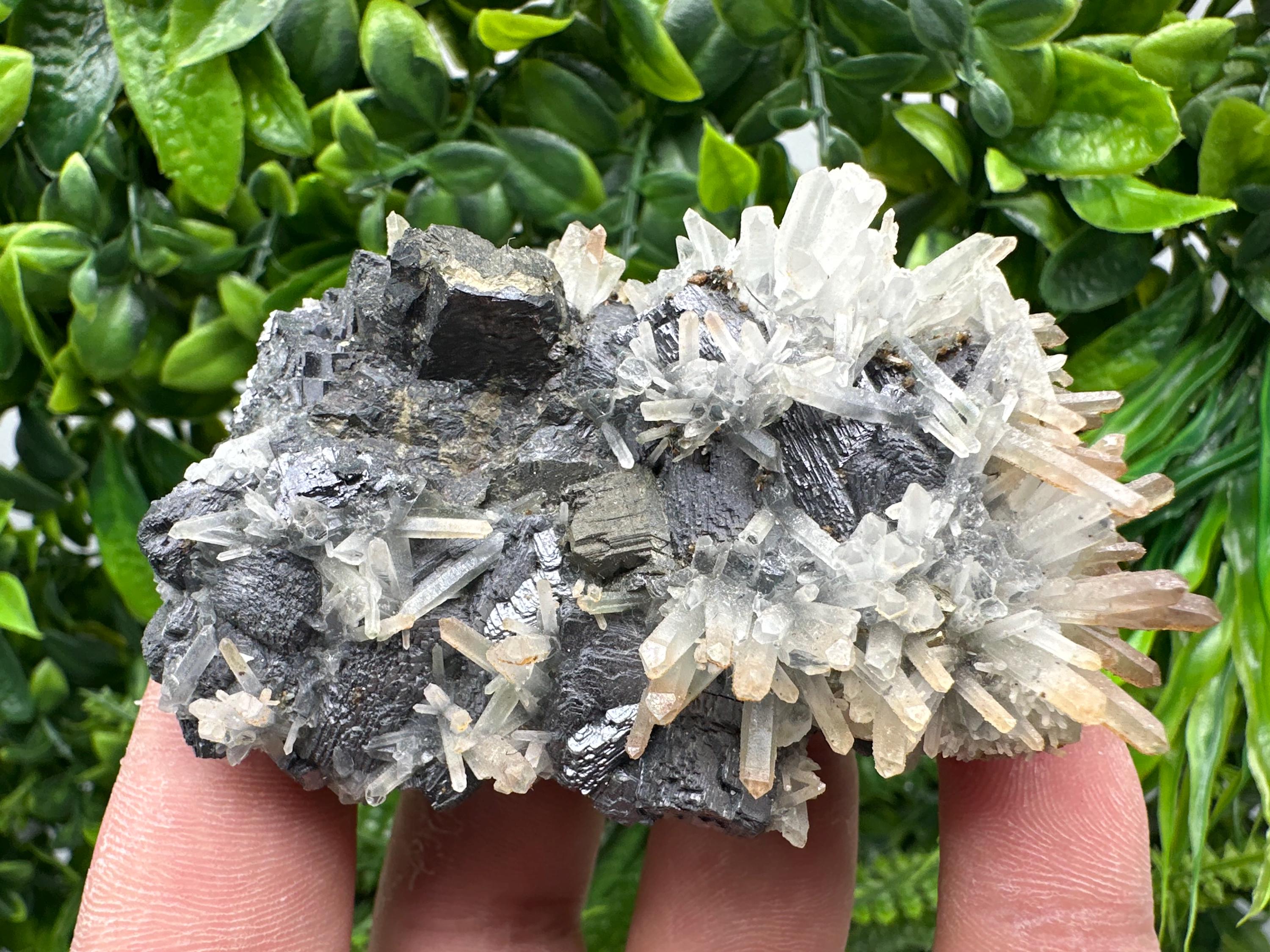 Galena, Sphalerite, Chalcopyrite, and Quartz Mineral Specimen, Djurcovo Mine