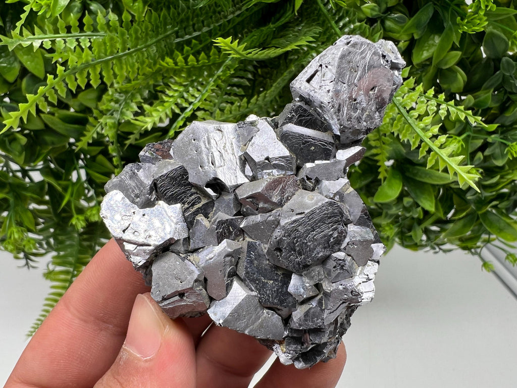 Mirror Galena Mineral Specimen: Rare Crystal from Krushev dol Mine