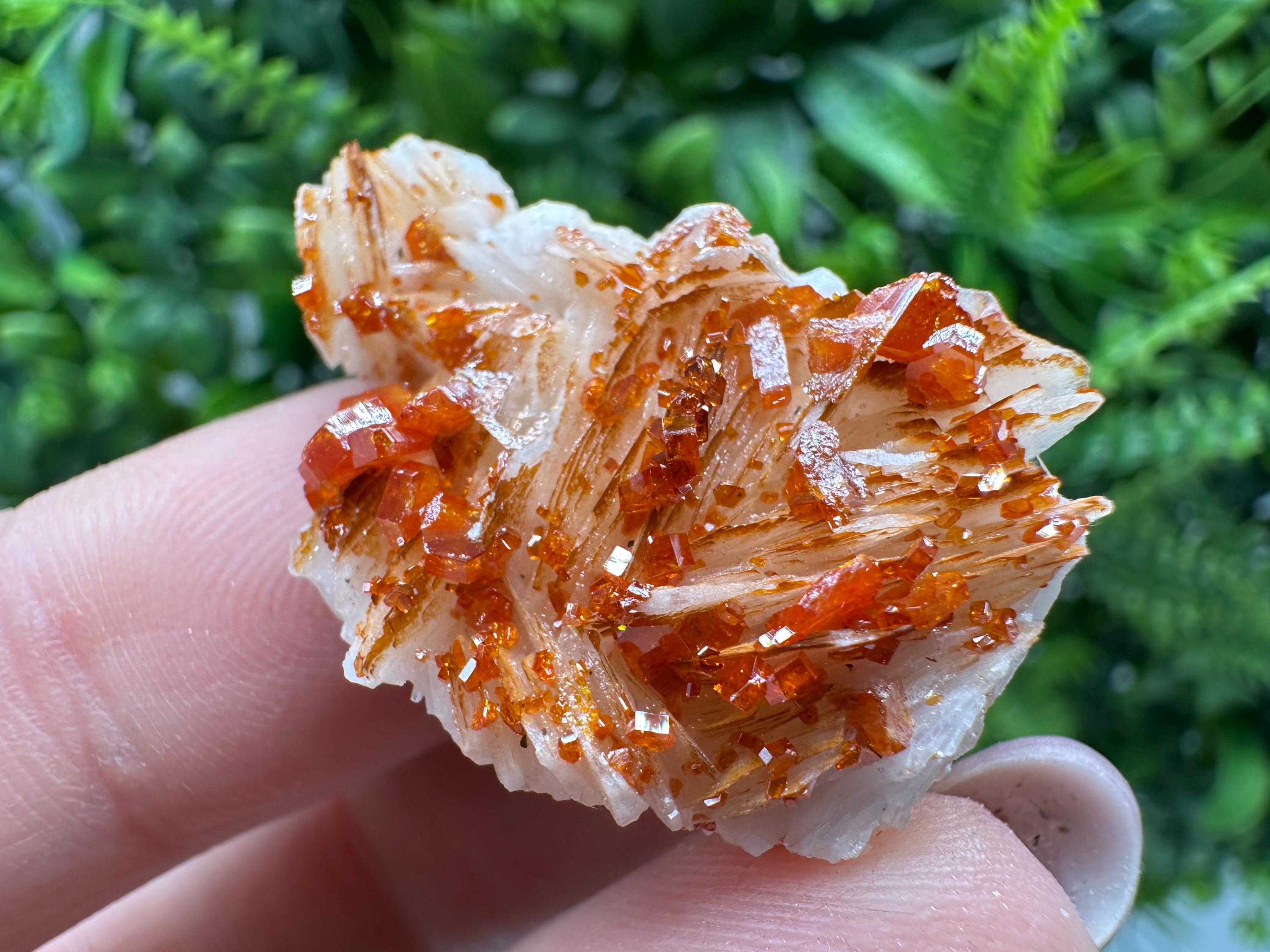 Red Vanadinite on Barite, Moroccan Crystal Specimen