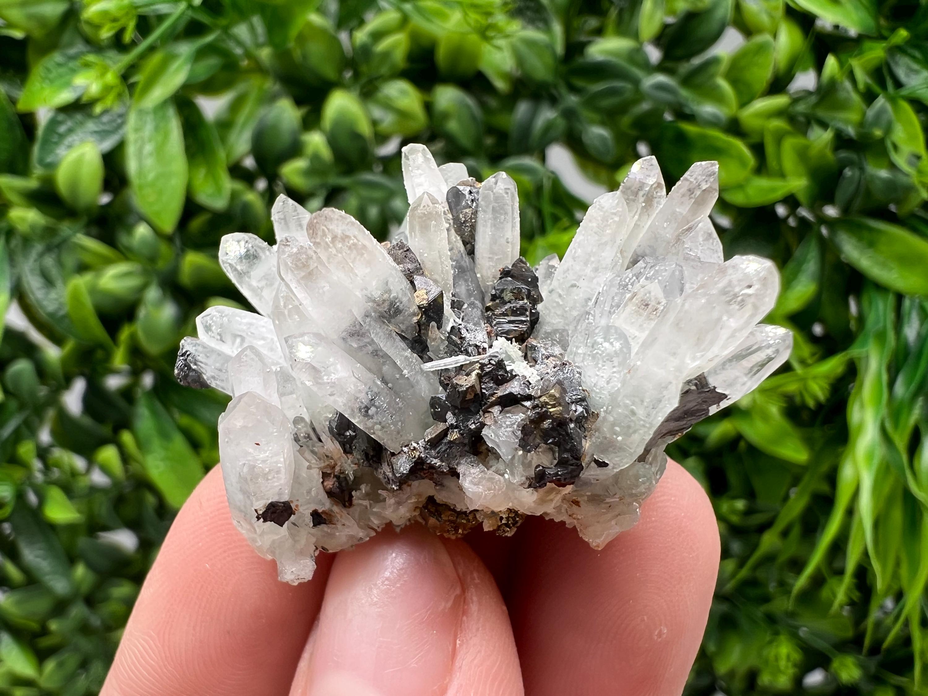 Transparent Quartz,Chlorite,Chalcopyrite Matrix,From Borieva mine,Madan,Bulgaria,Quartz,Quartz crystal,mineral specimen,collection quartz